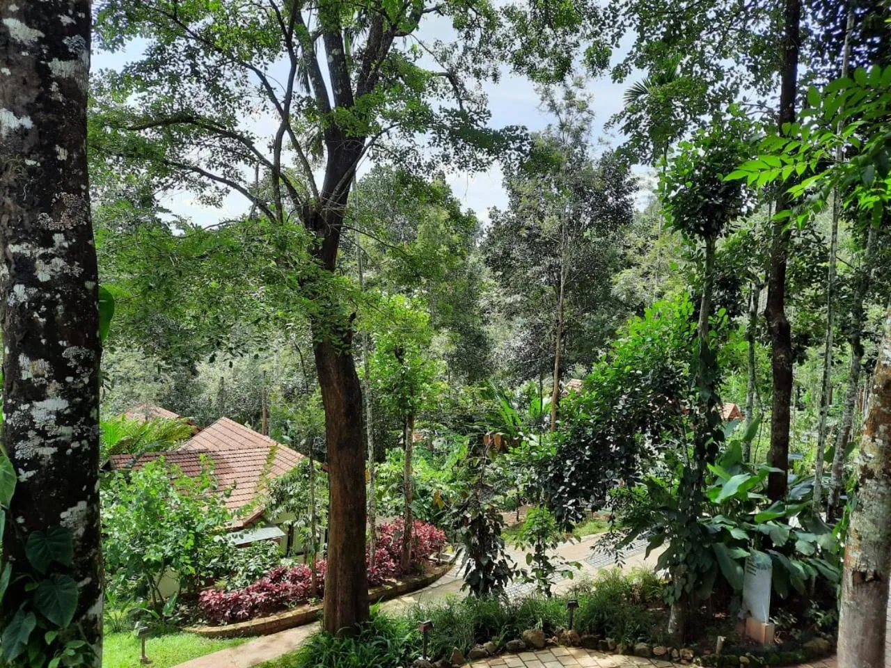 Natural landscape in Willow Resorts Wayanad