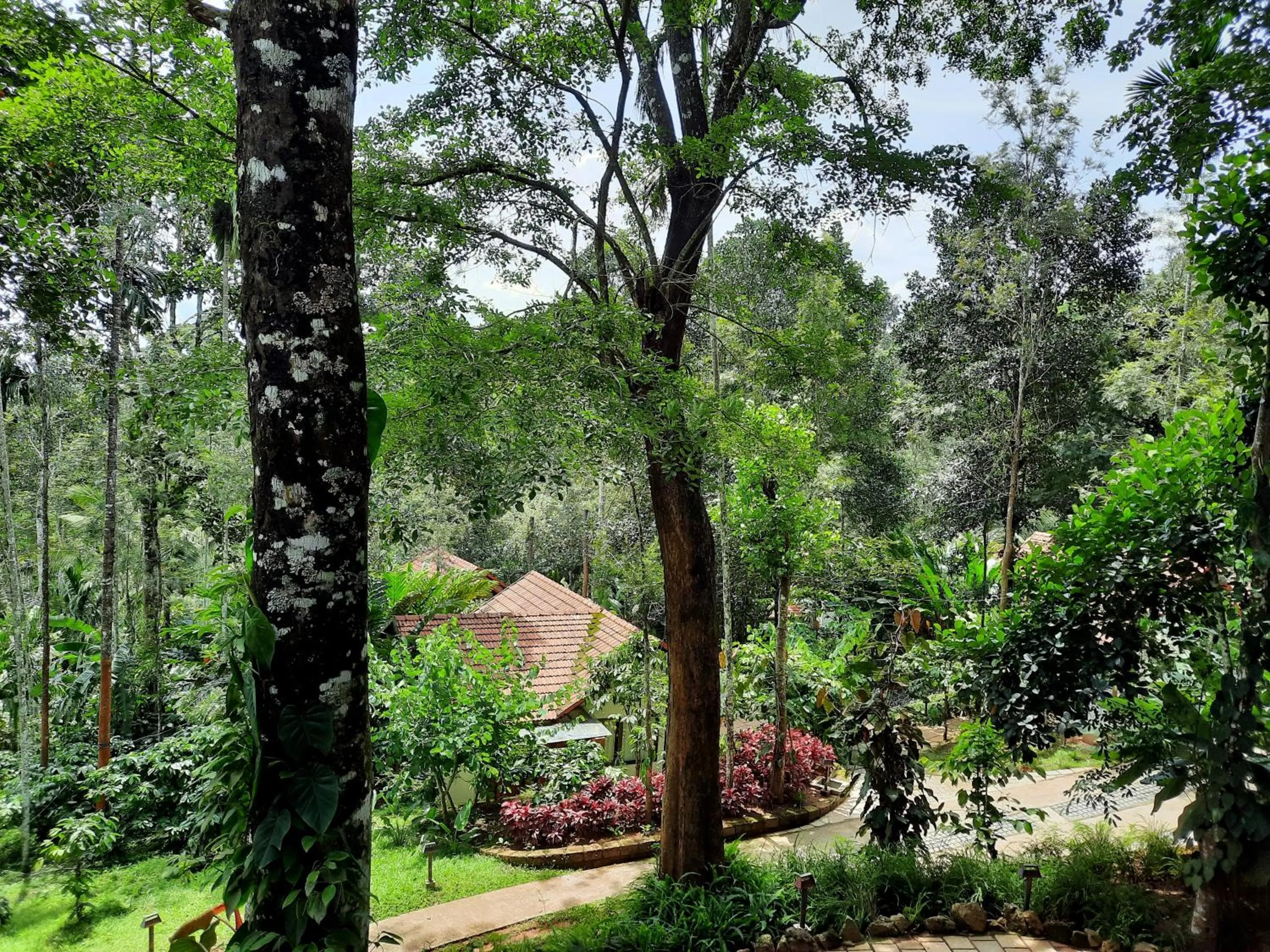 Natural landscape in Willow Resorts Wayanad