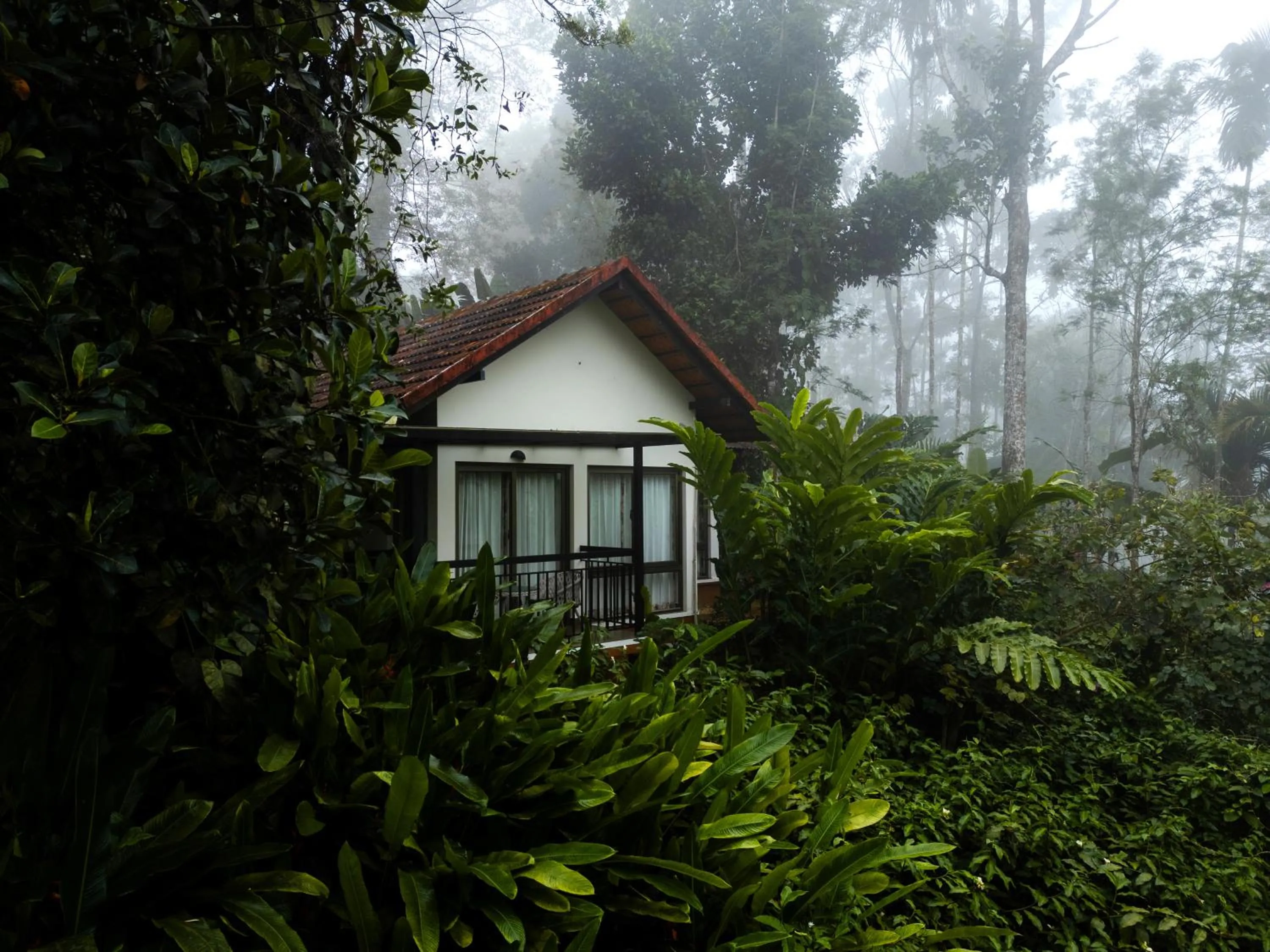 Property building in Willow Resorts Wayanad