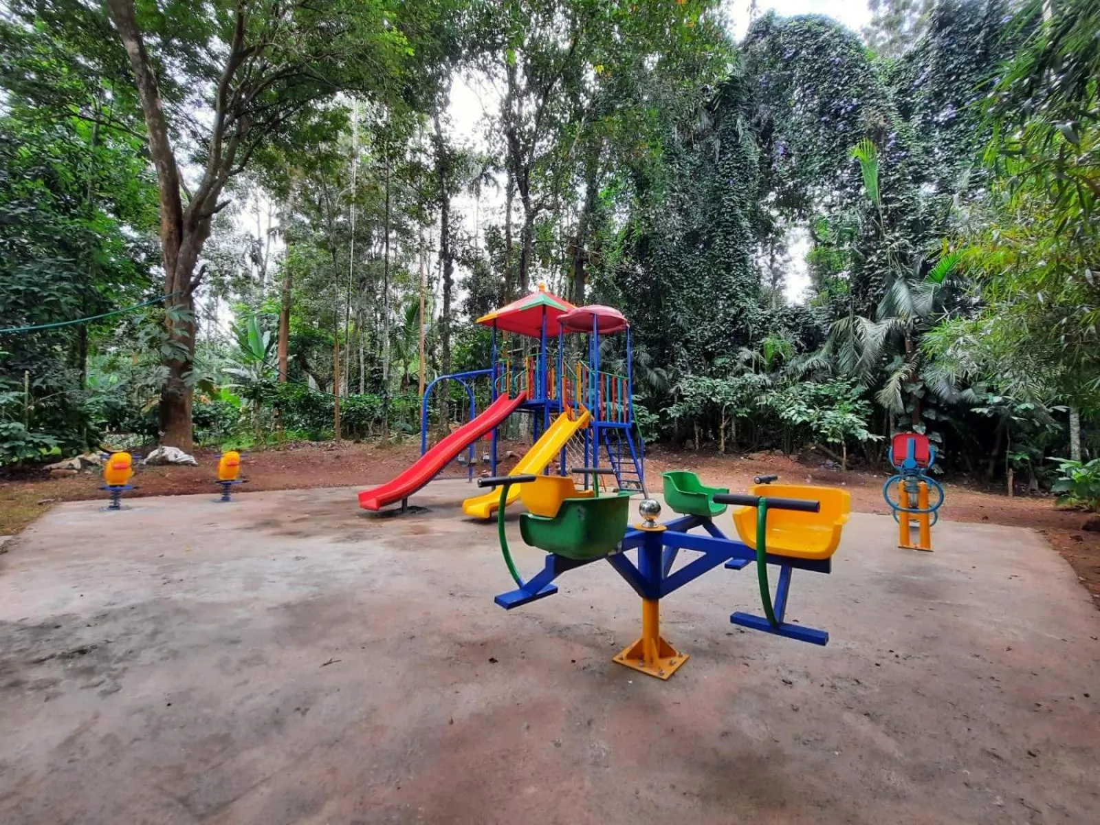 Natural landscape in Willow Resorts Wayanad