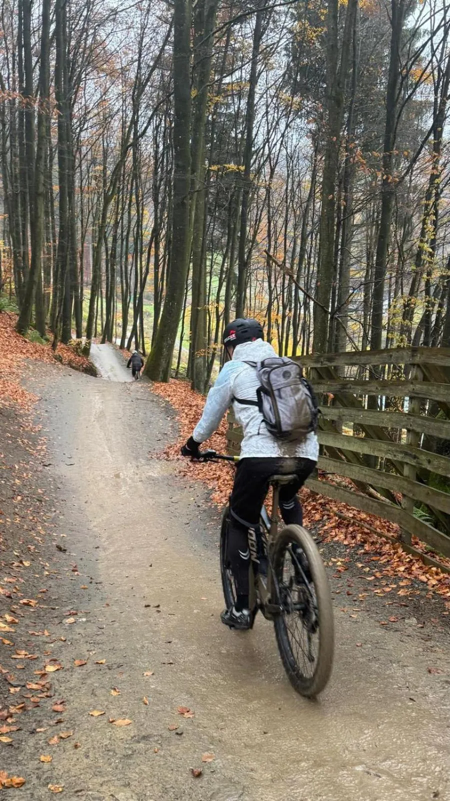 Cycling in Vakantiehuisje Winterberg