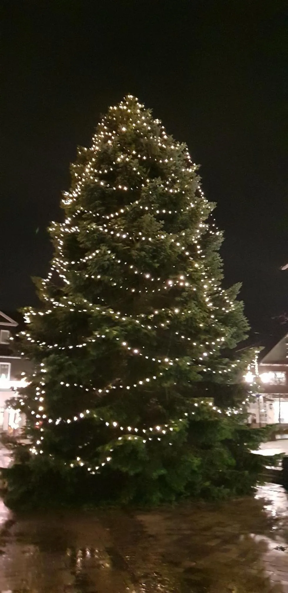 Vakantiehuisje Winterberg