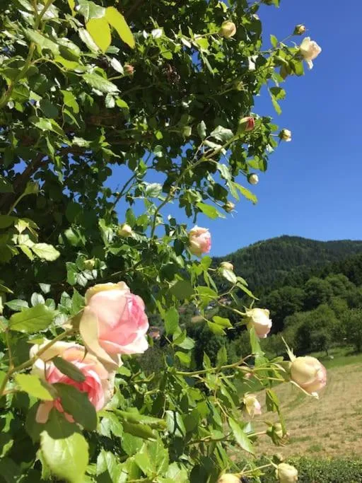 Top ausgestattete Wohnung in Traumlage mit grandioser Aussicht