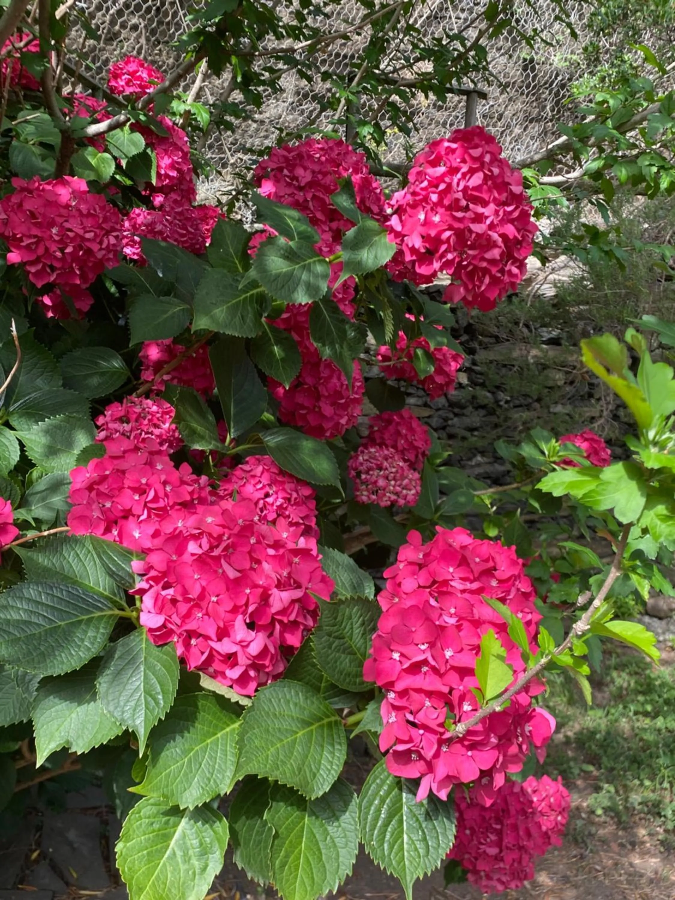 Day in Pensione Sorriso