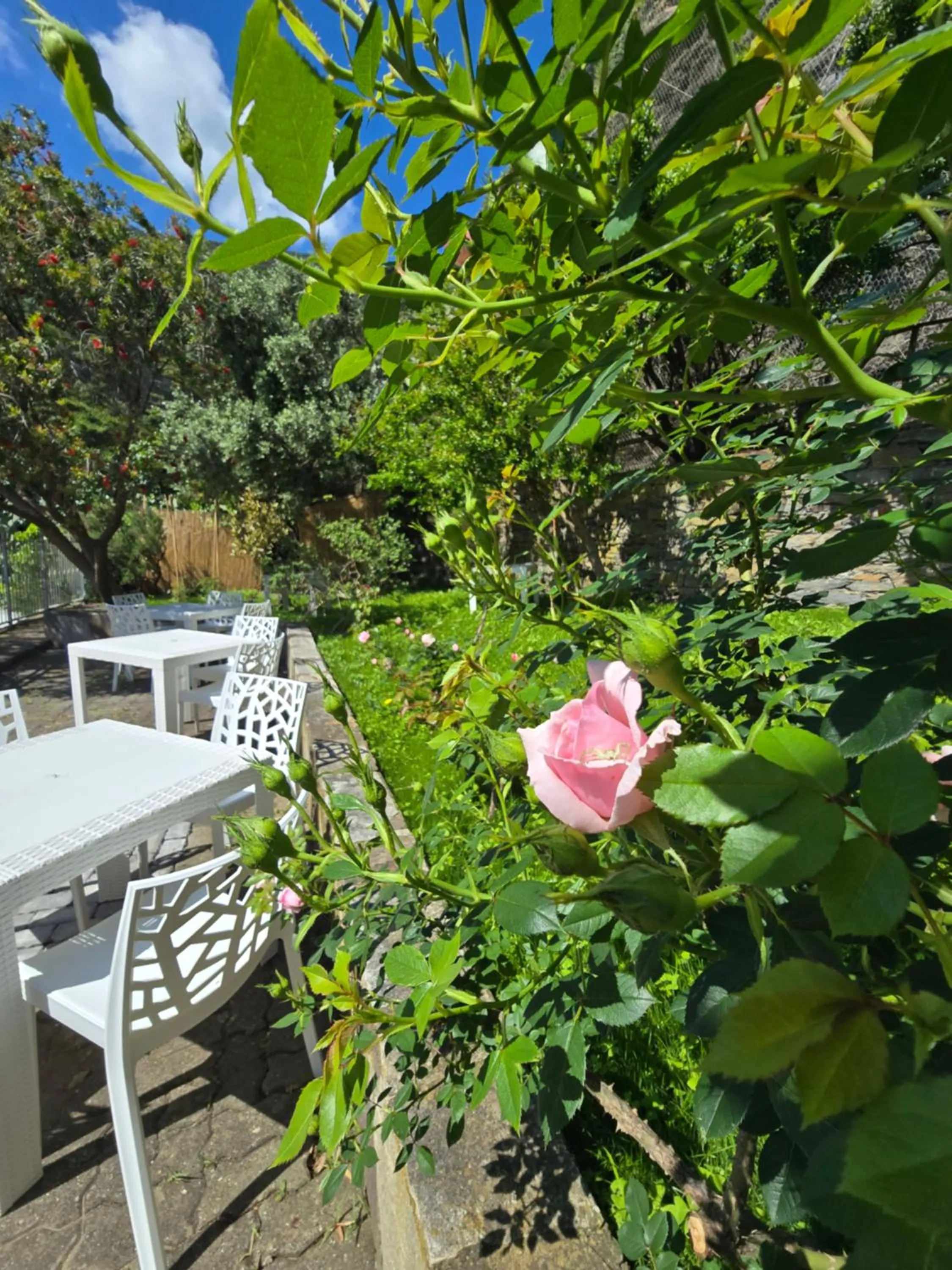 Garden in Pensione Sorriso