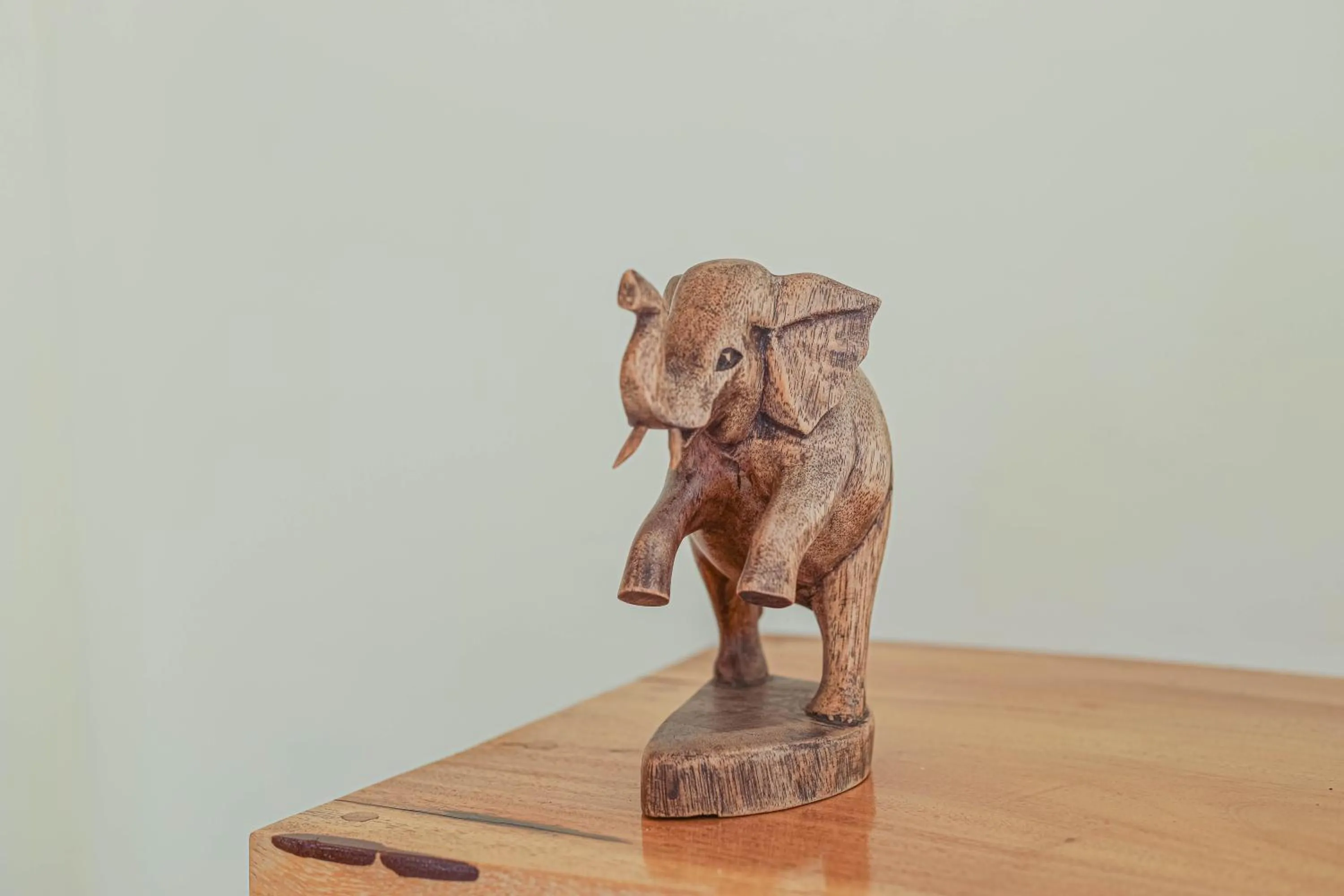 Facility for disabled guests in Sandz House