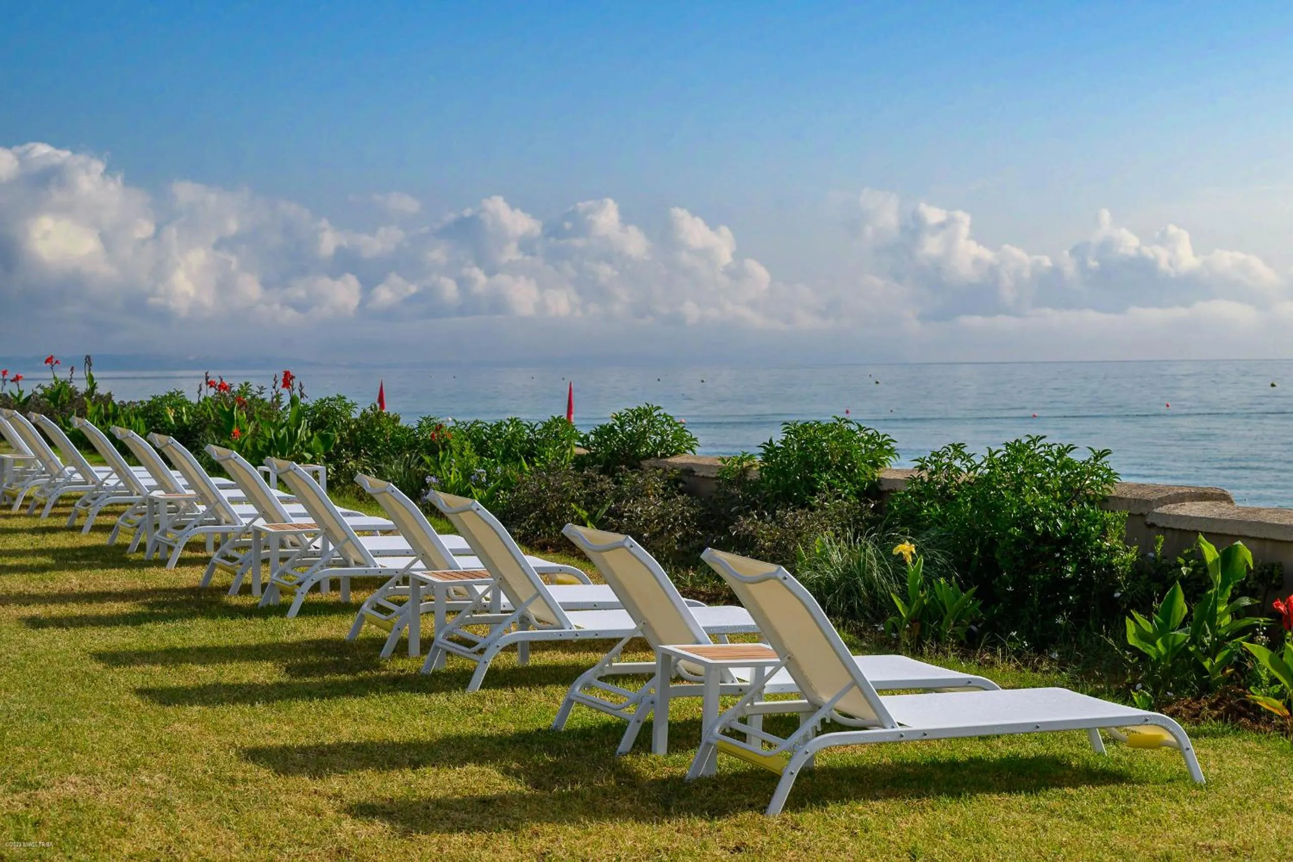 sunbed in PLAYA DEL PACHA Suites Hotel