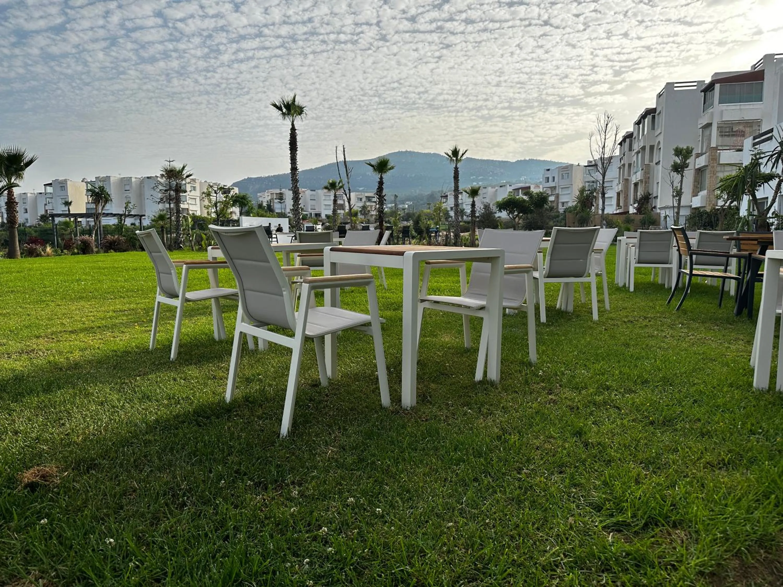 Garden in PLAYA DEL PACHA Suites Hotel