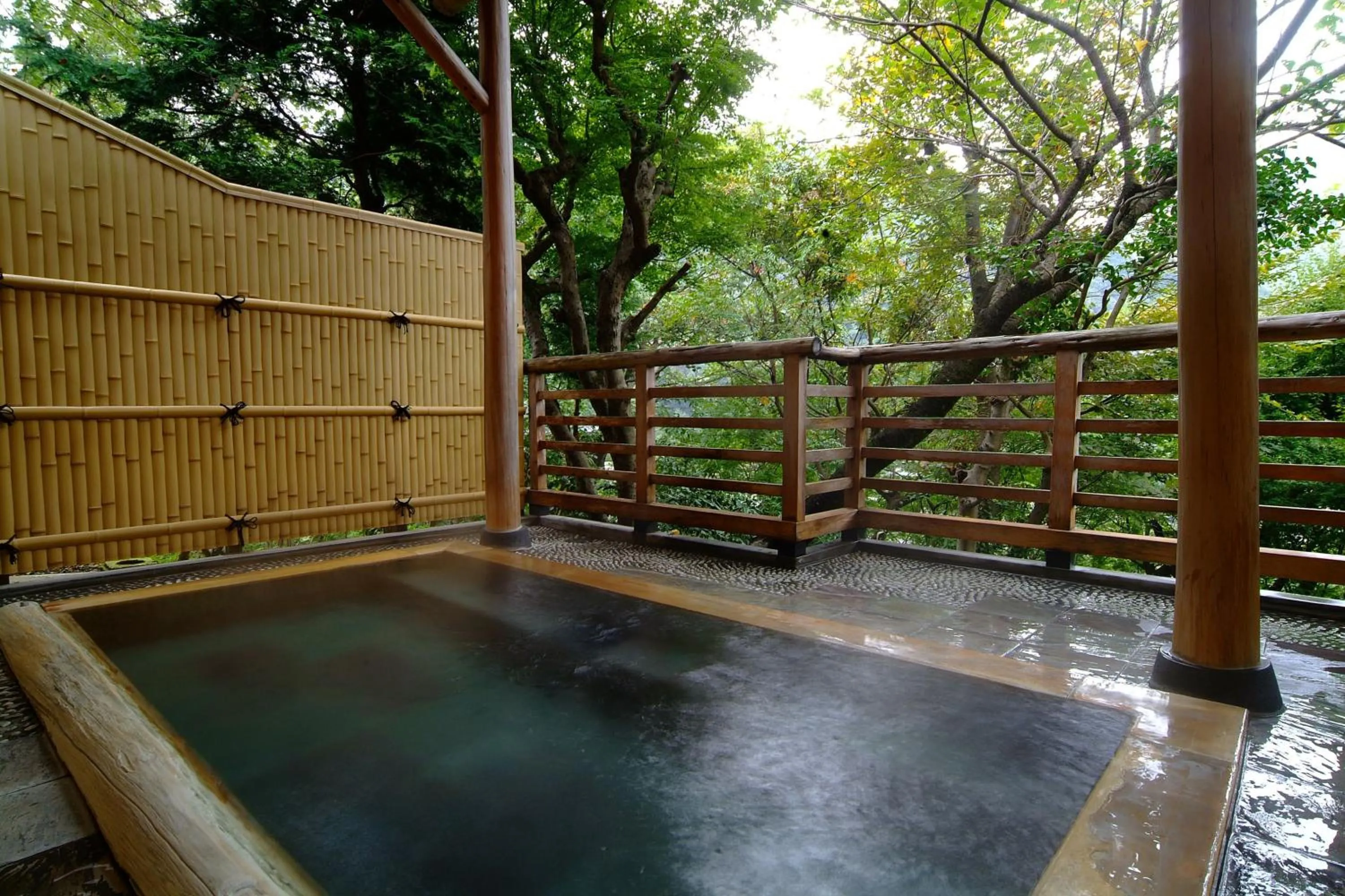 Hot Spring Bath in Hatago Kintoen