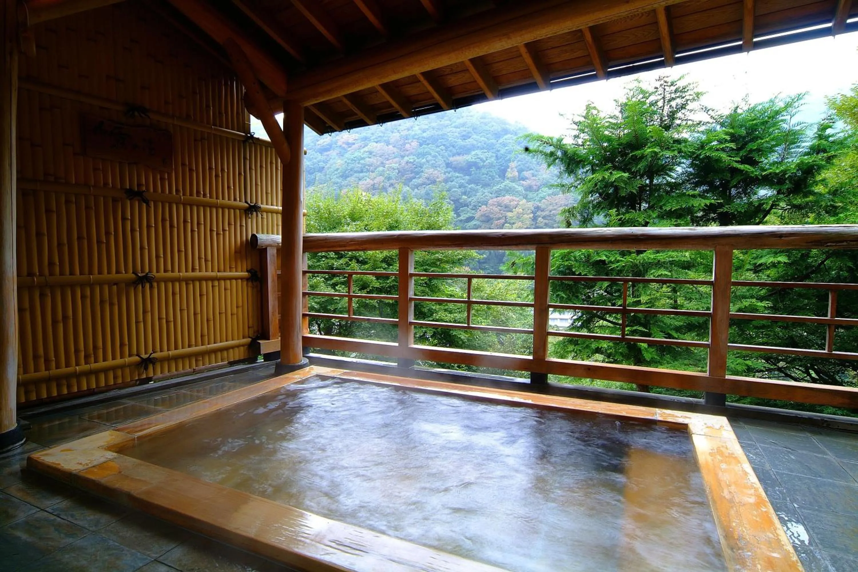 Hot Spring Bath in Hatago Kintoen
