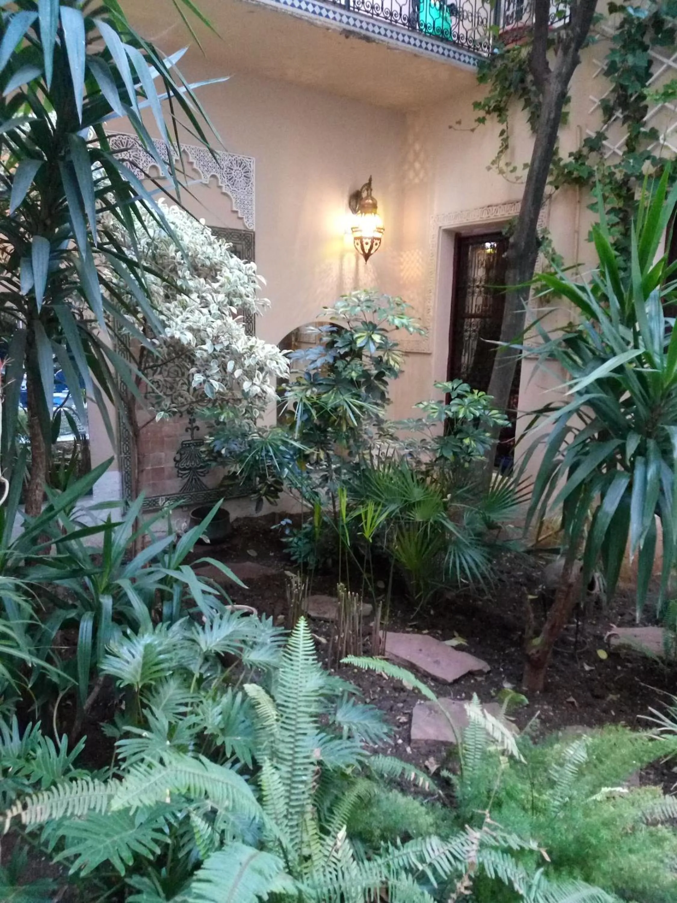 Garden in Riad Letchina