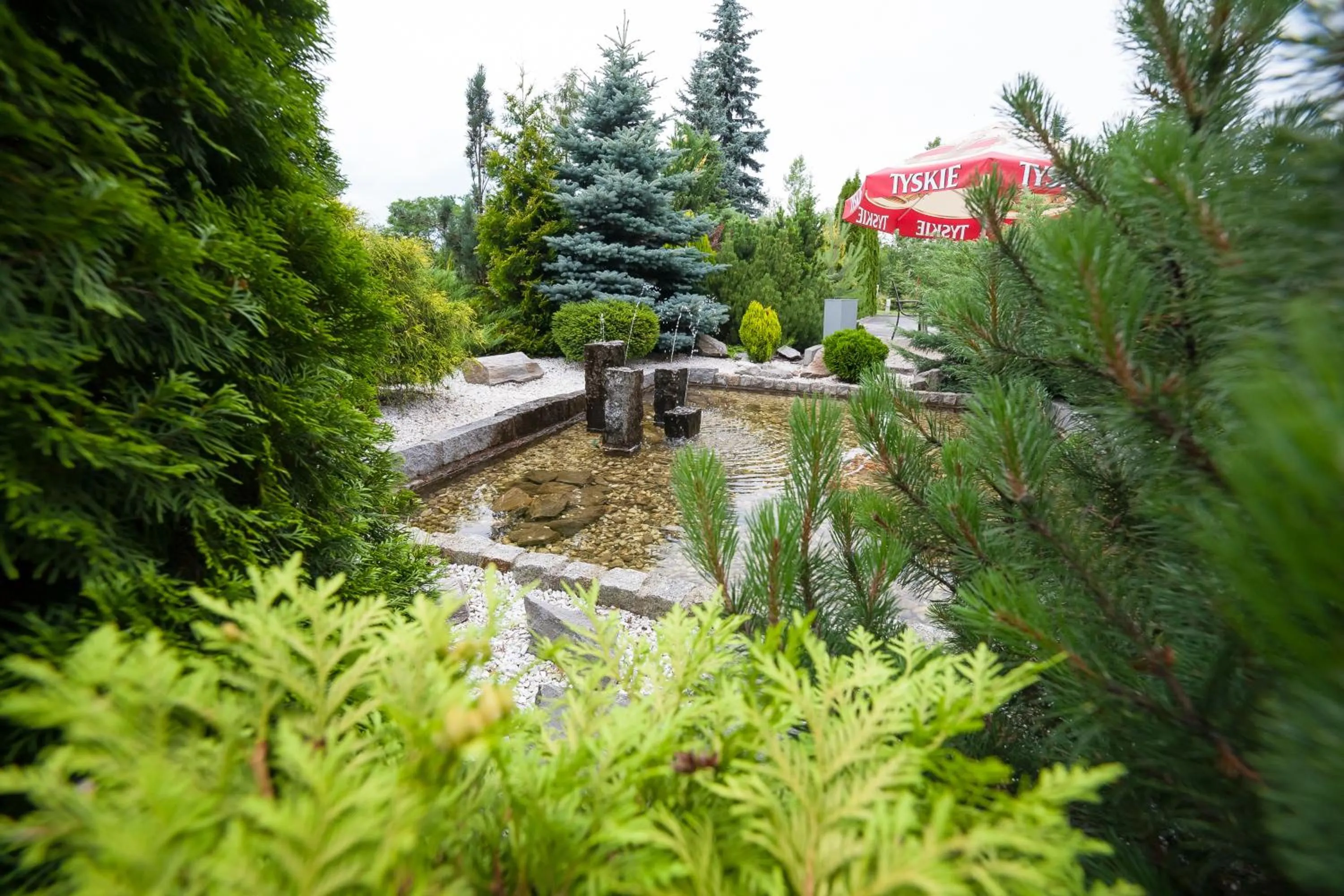 Area and facilities in Hotel Europejski