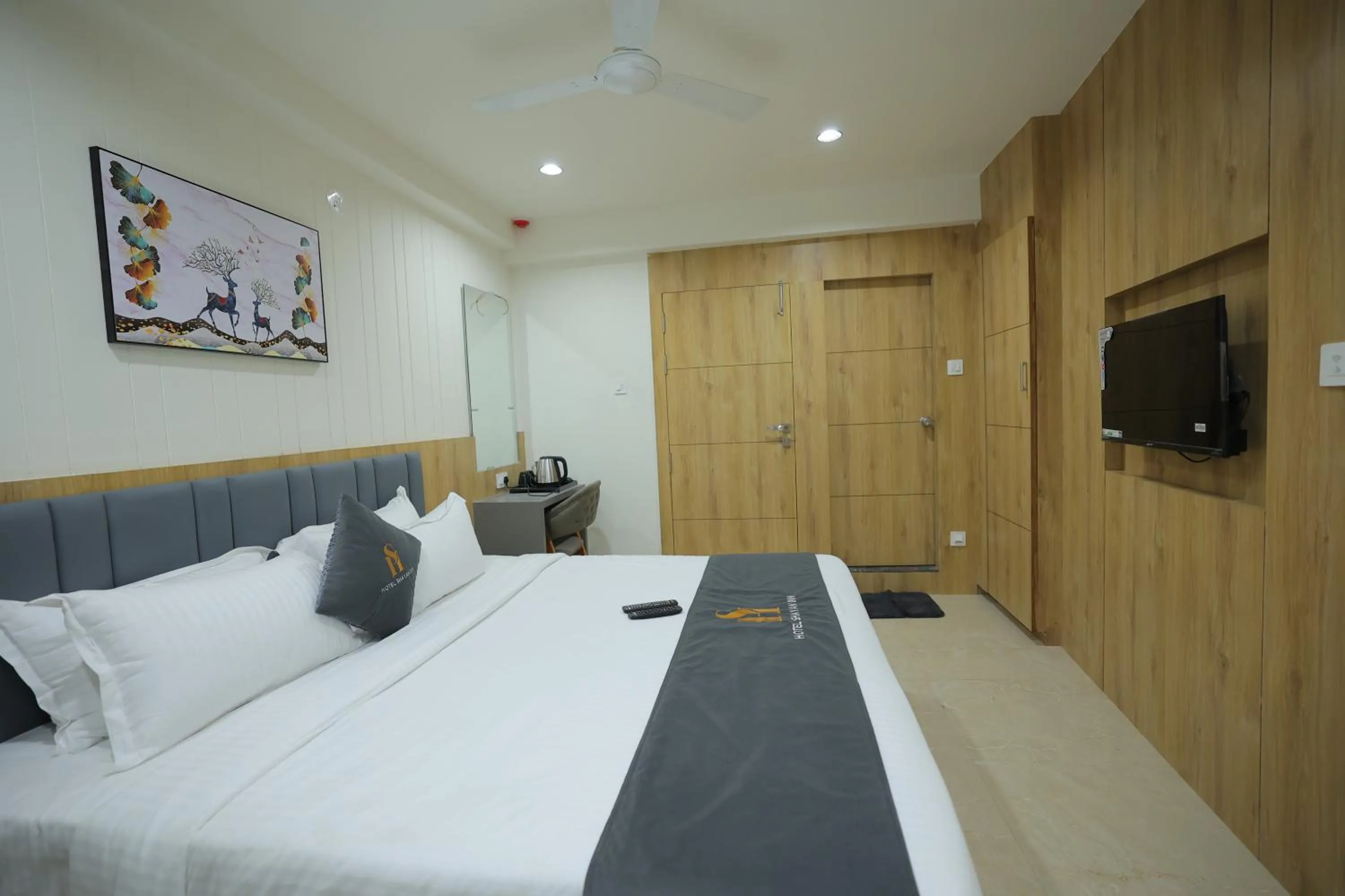 Communal lounge/ TV room in Hotel Shayan Inn