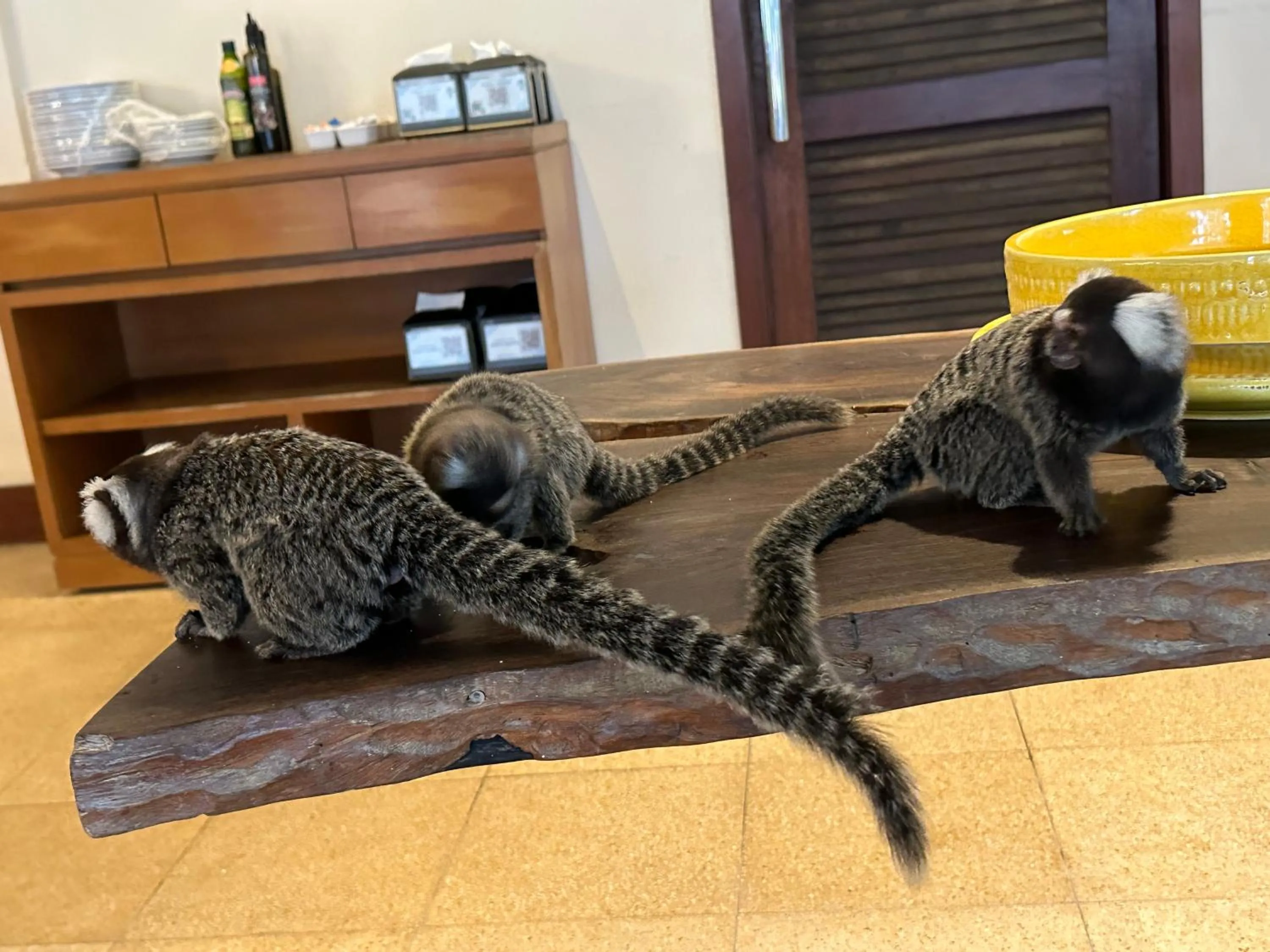 Jatiuca Suítes Resort FLAT