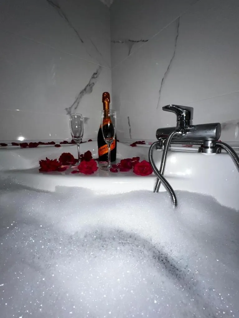 Luxury Apartment Megy