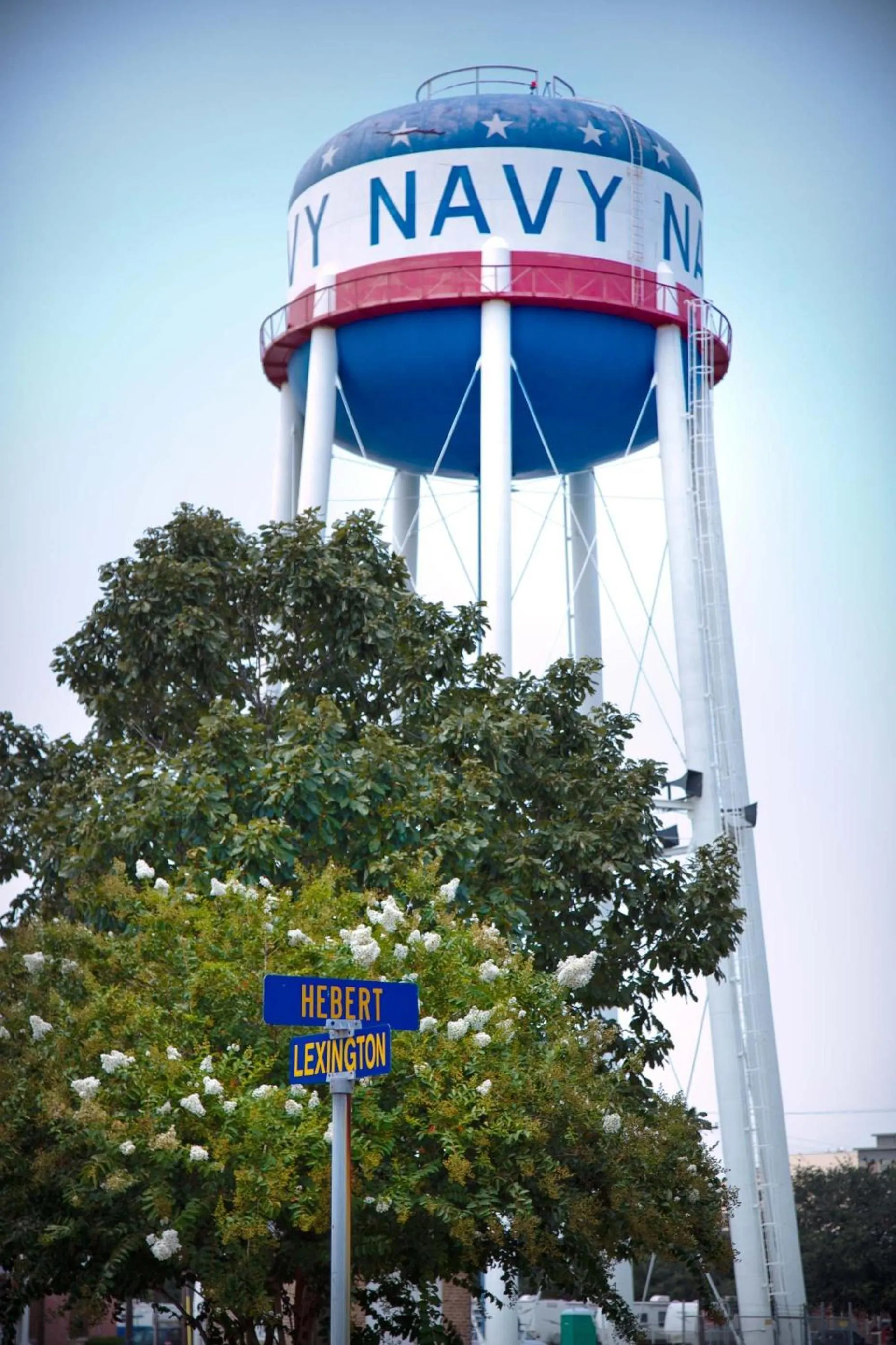 Area and facilities in Federal City Inn & Suites