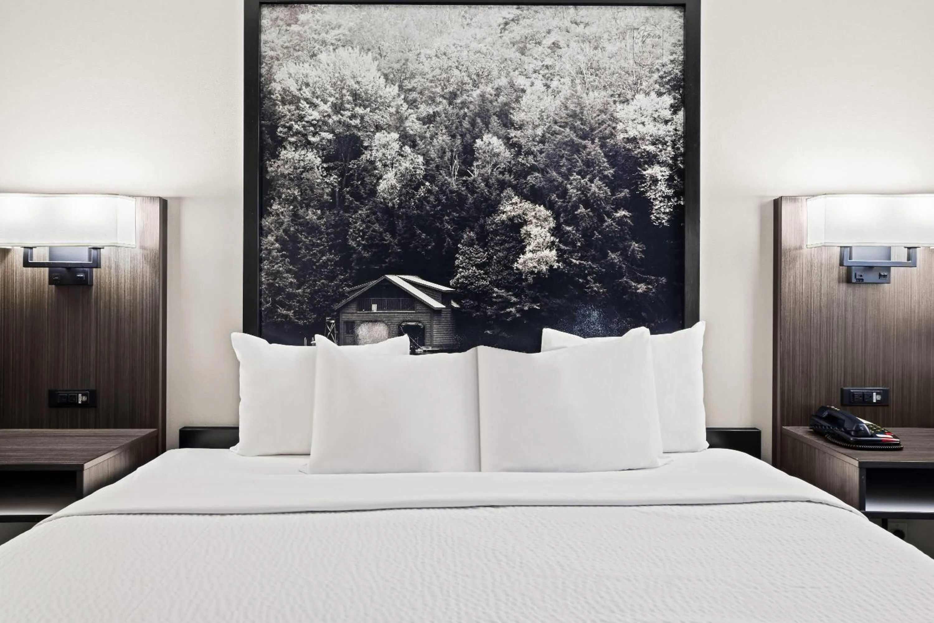 Photo of the whole room, Bed in Super 8 by Wyndham Thunder Bay