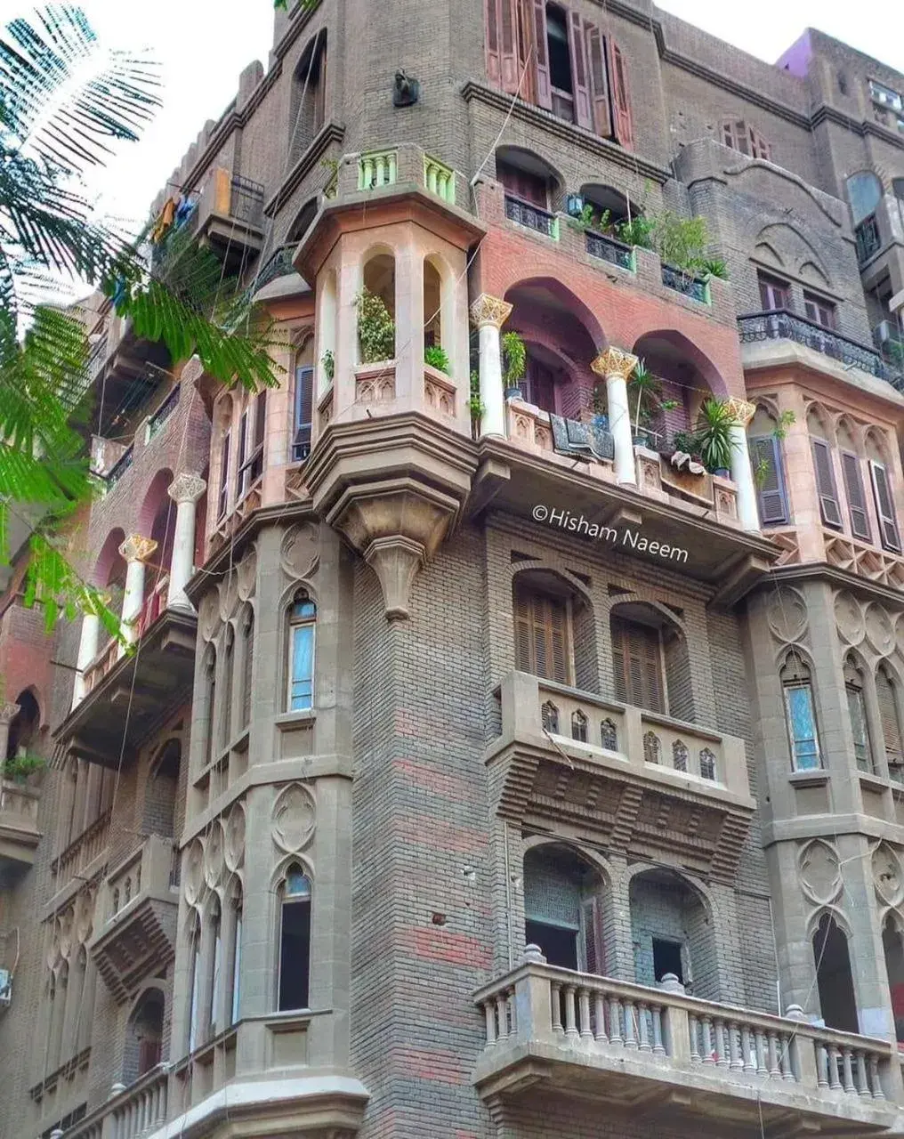 New palace court New palace court