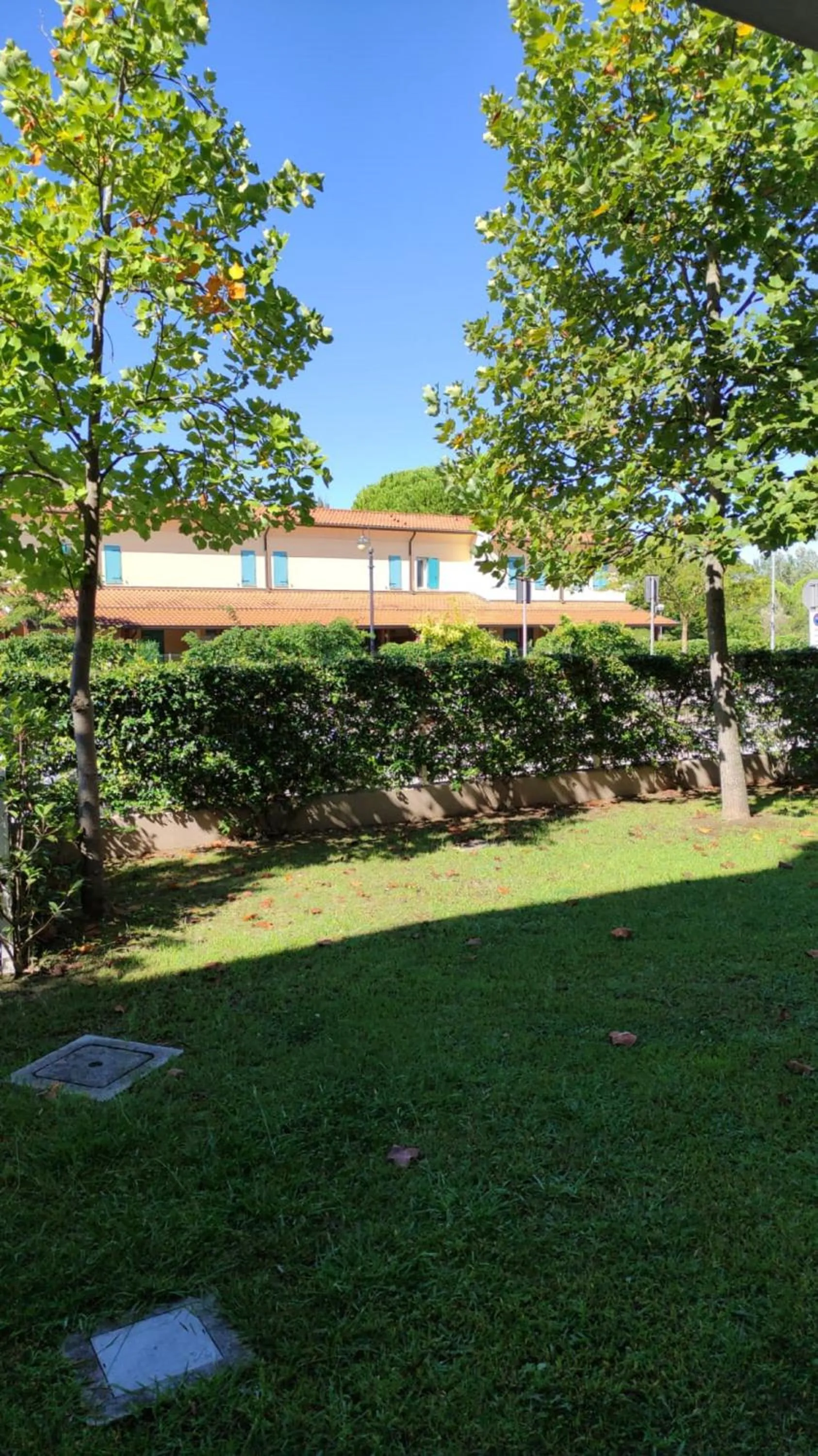 Garden in Casa la Celeste