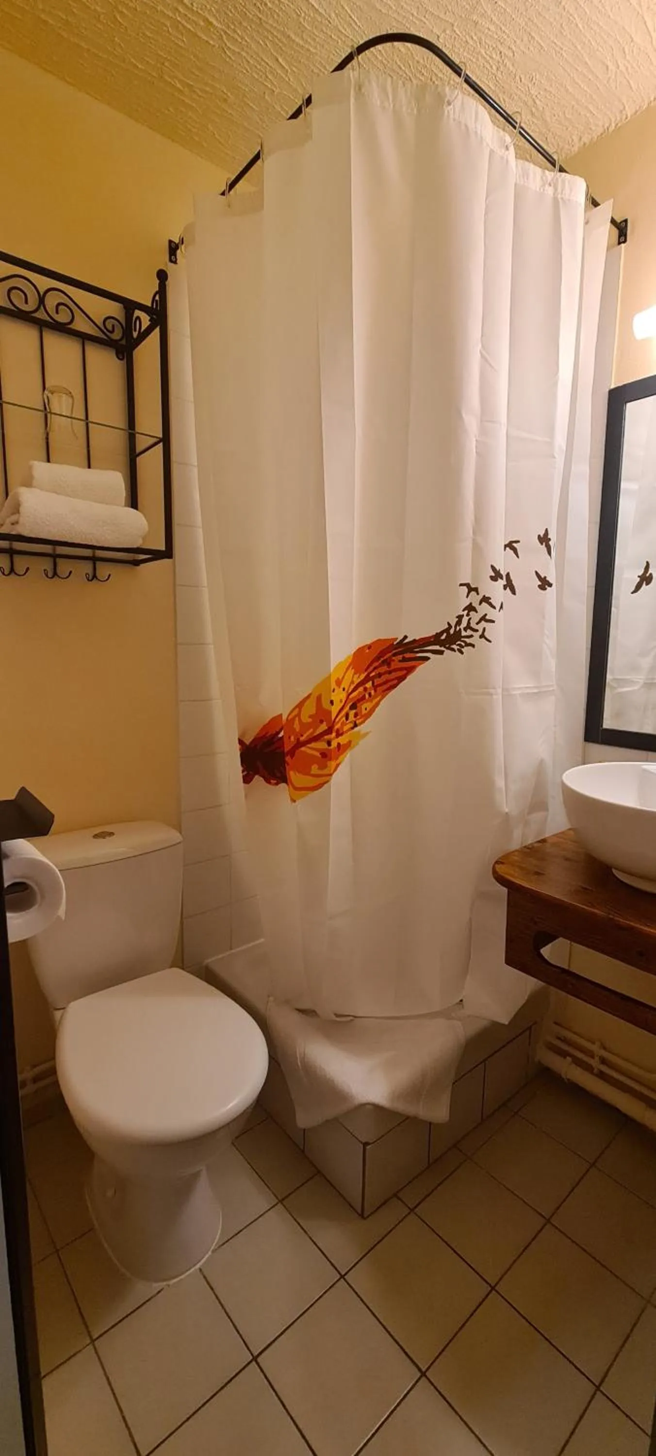 Toilet in Hôtel L'Etoile Aéroport - A61