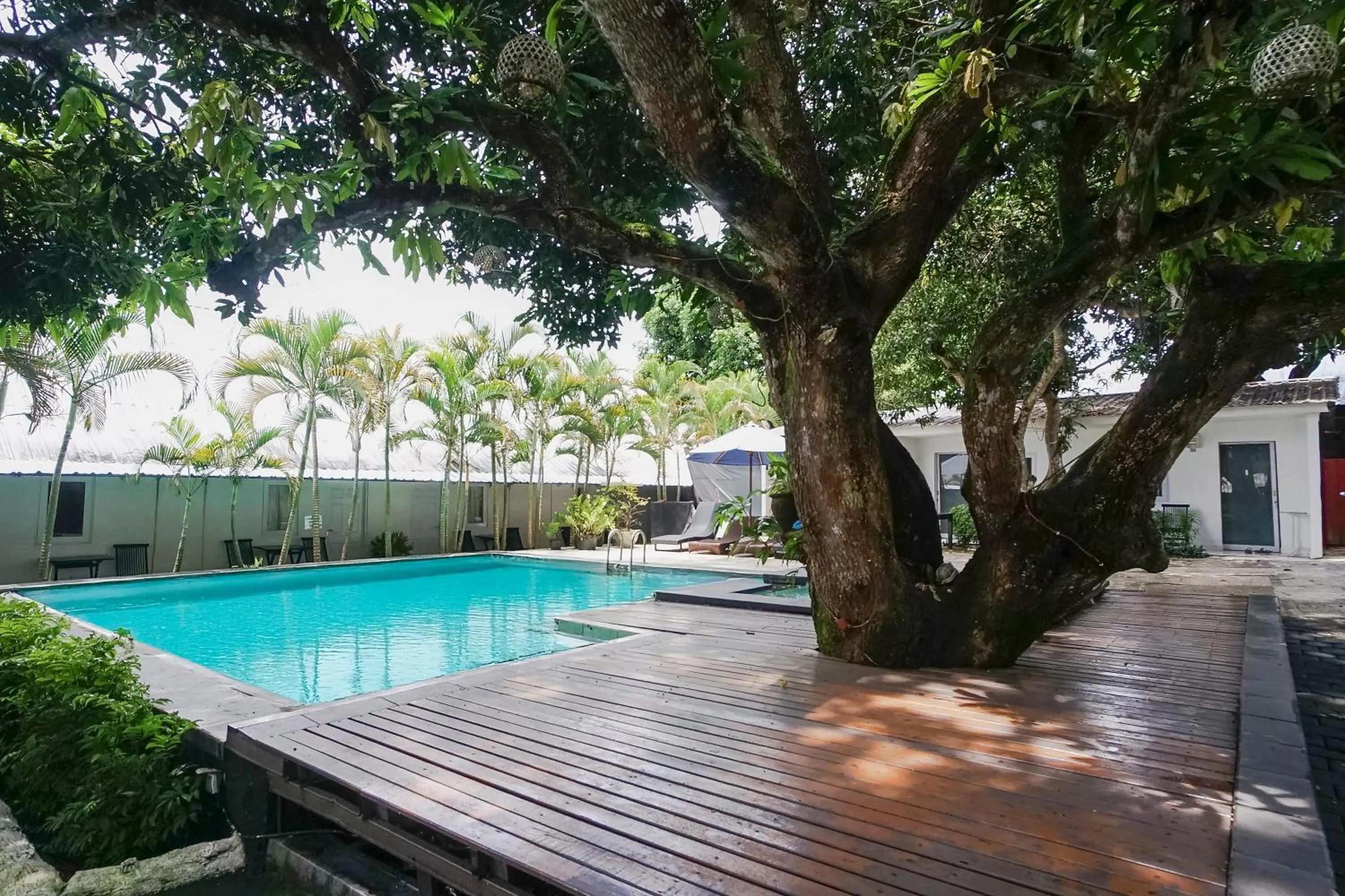 Swimming pool in Kos 168 Jimbaran