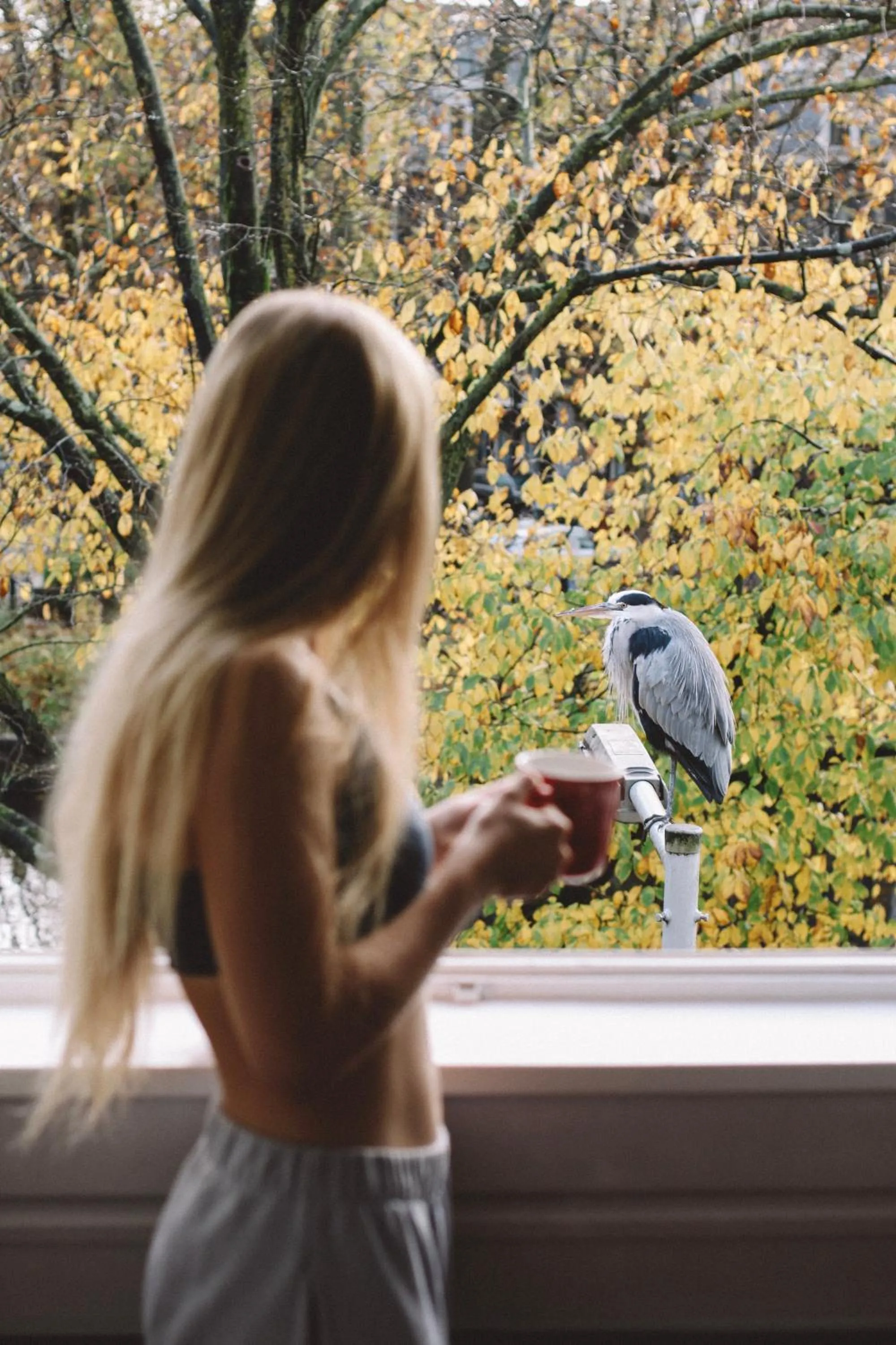 View (from property/room) in Canal View Stay Amsterdam