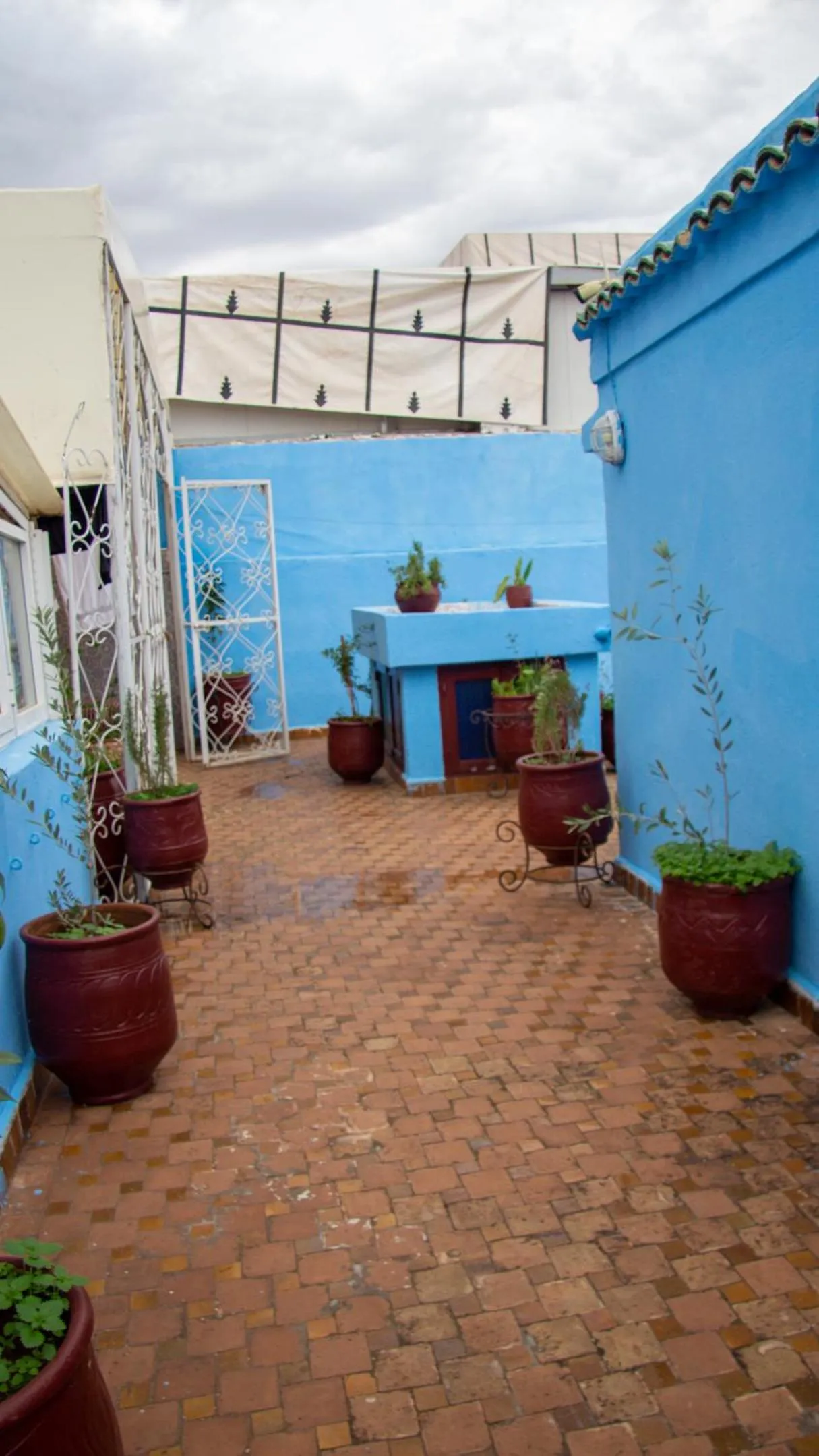 Balcony/Terrace in Riad Baba