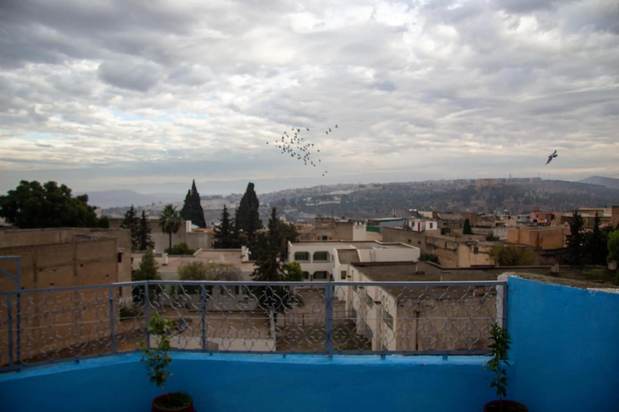 View (from property/room) in Riad Baba