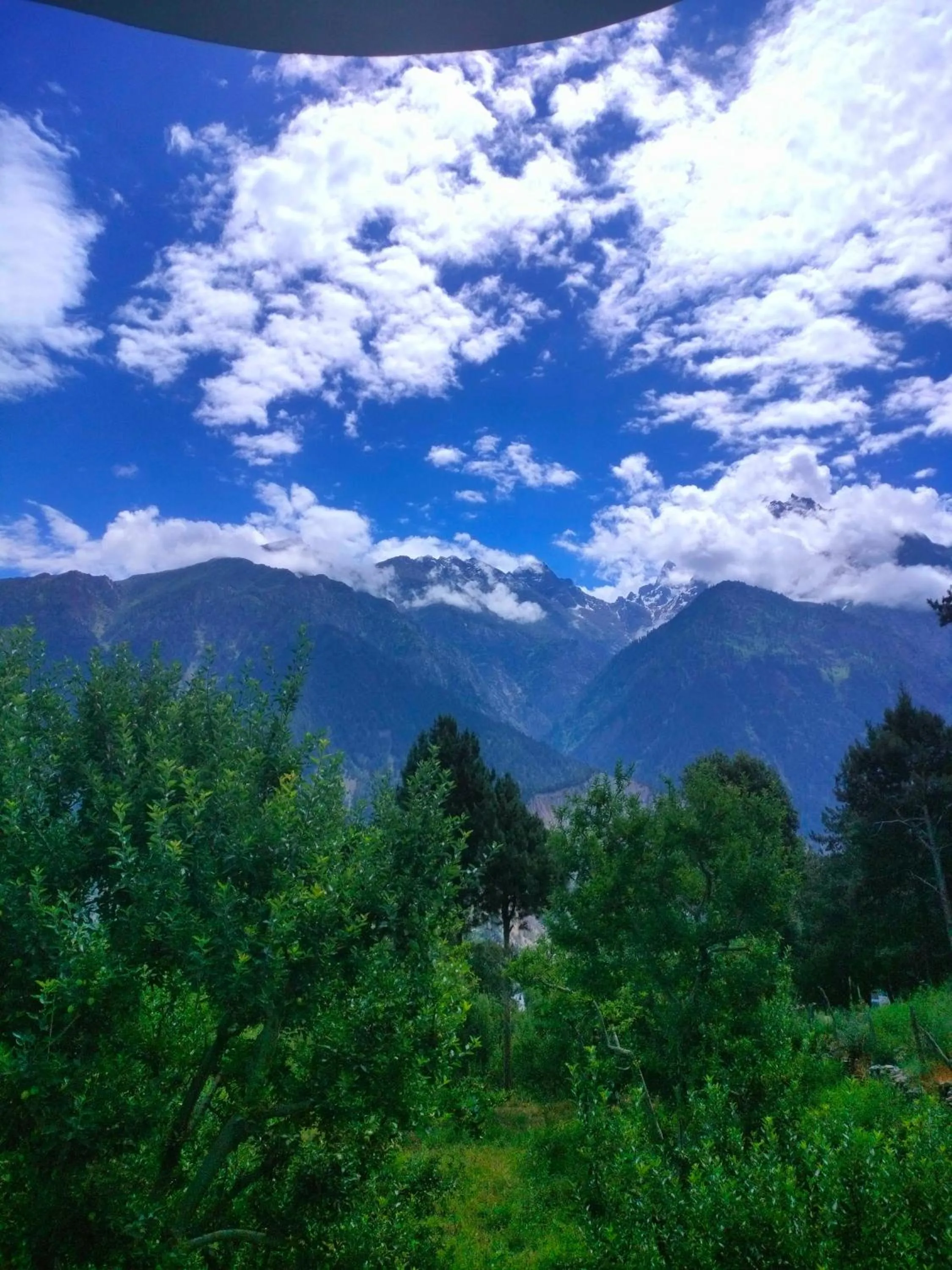 Other in Hotel O Apple Resort