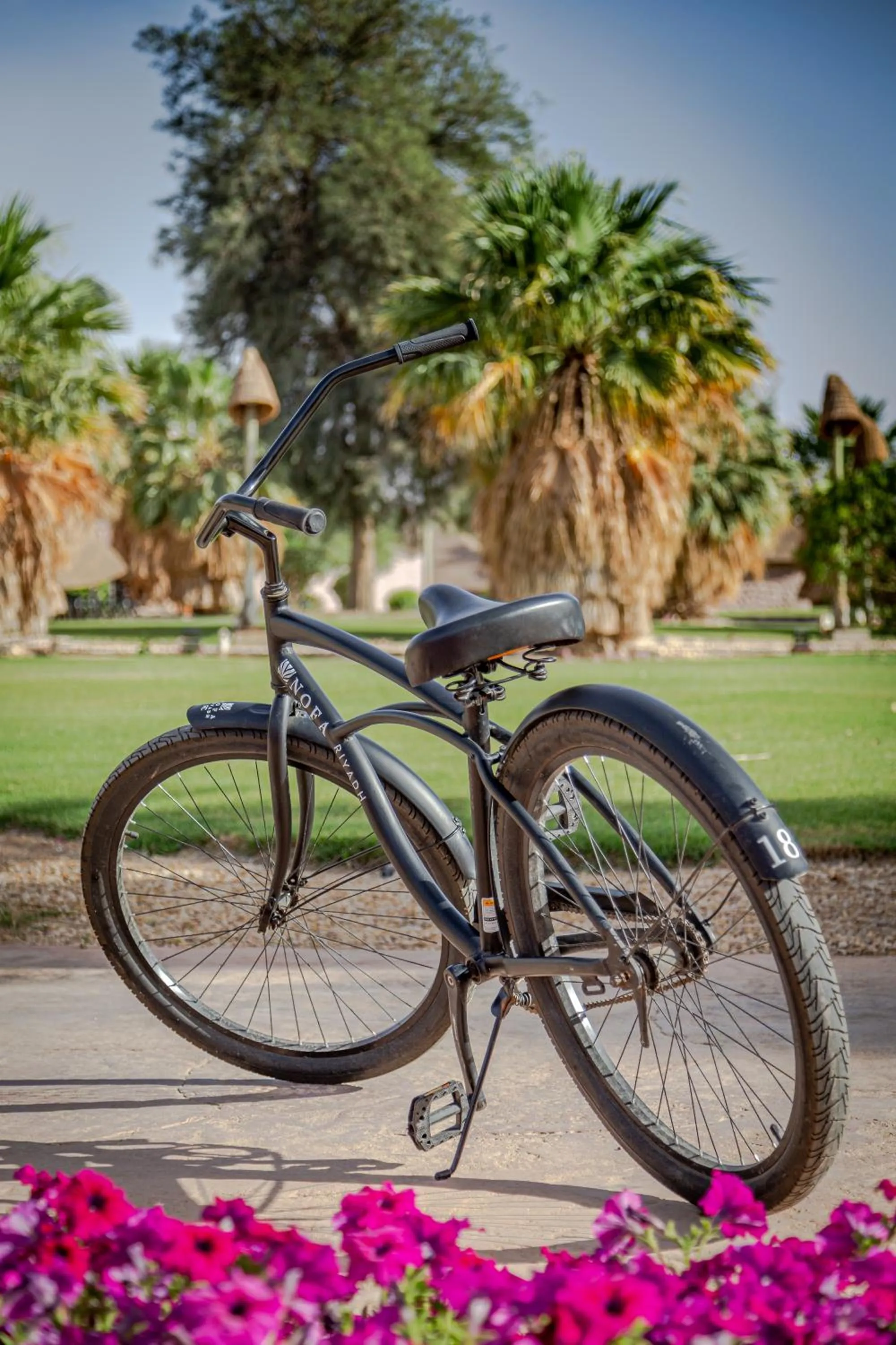 Activities in Nofa Riyadh, A Radisson Collection Resort