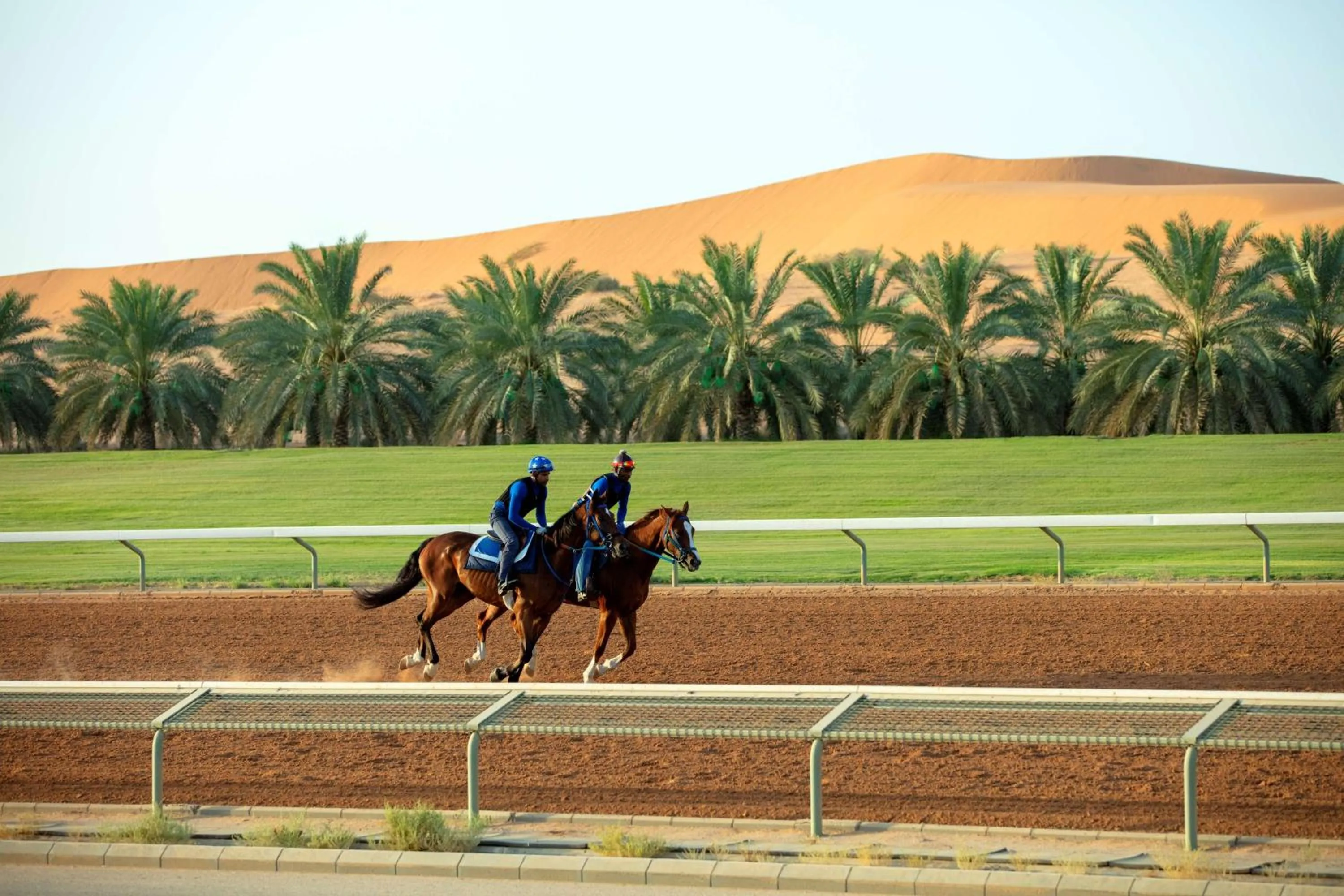 Other in Nofa Riyadh, A Radisson Collection Resort