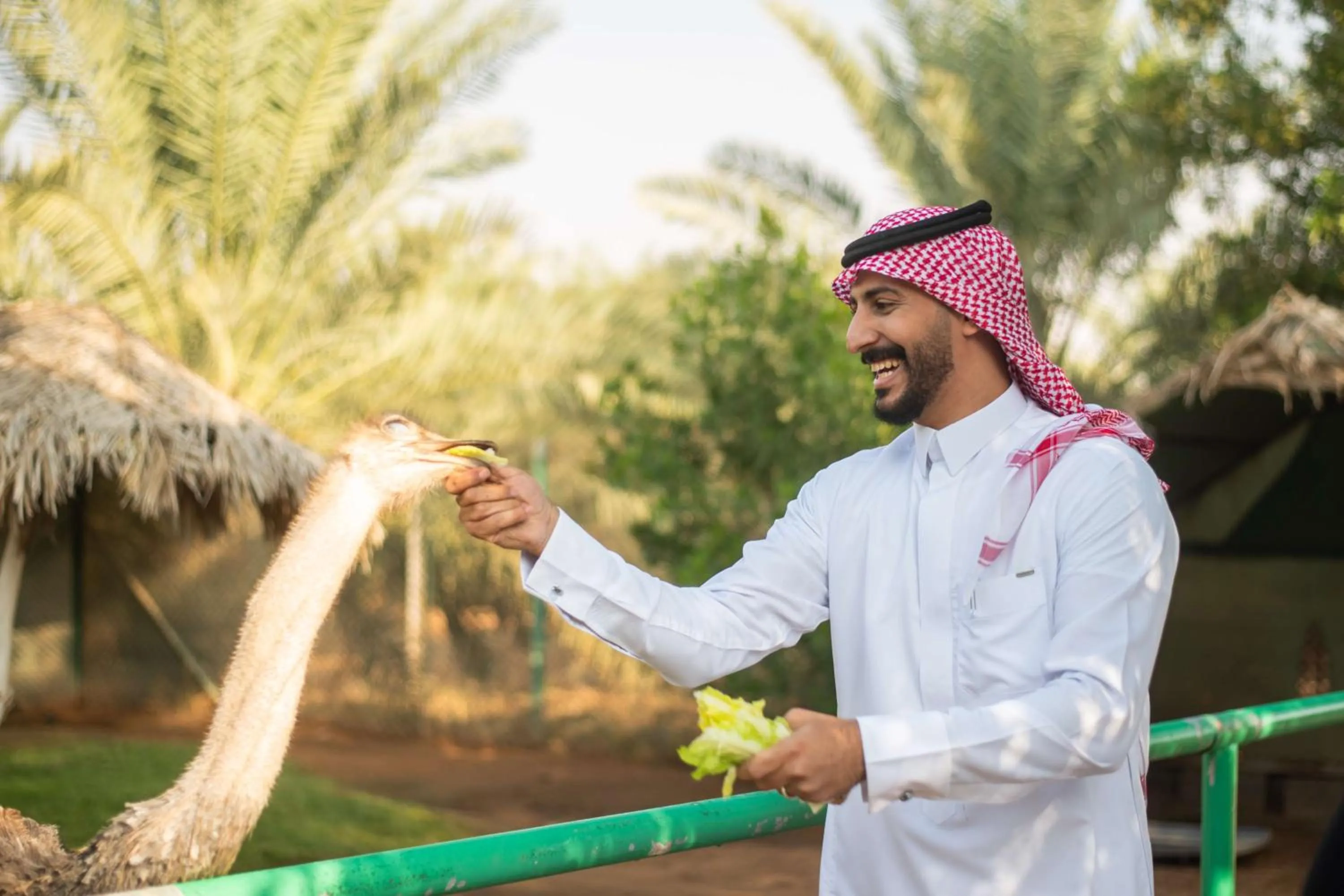 Sports in Nofa Riyadh, A Radisson Collection Resort