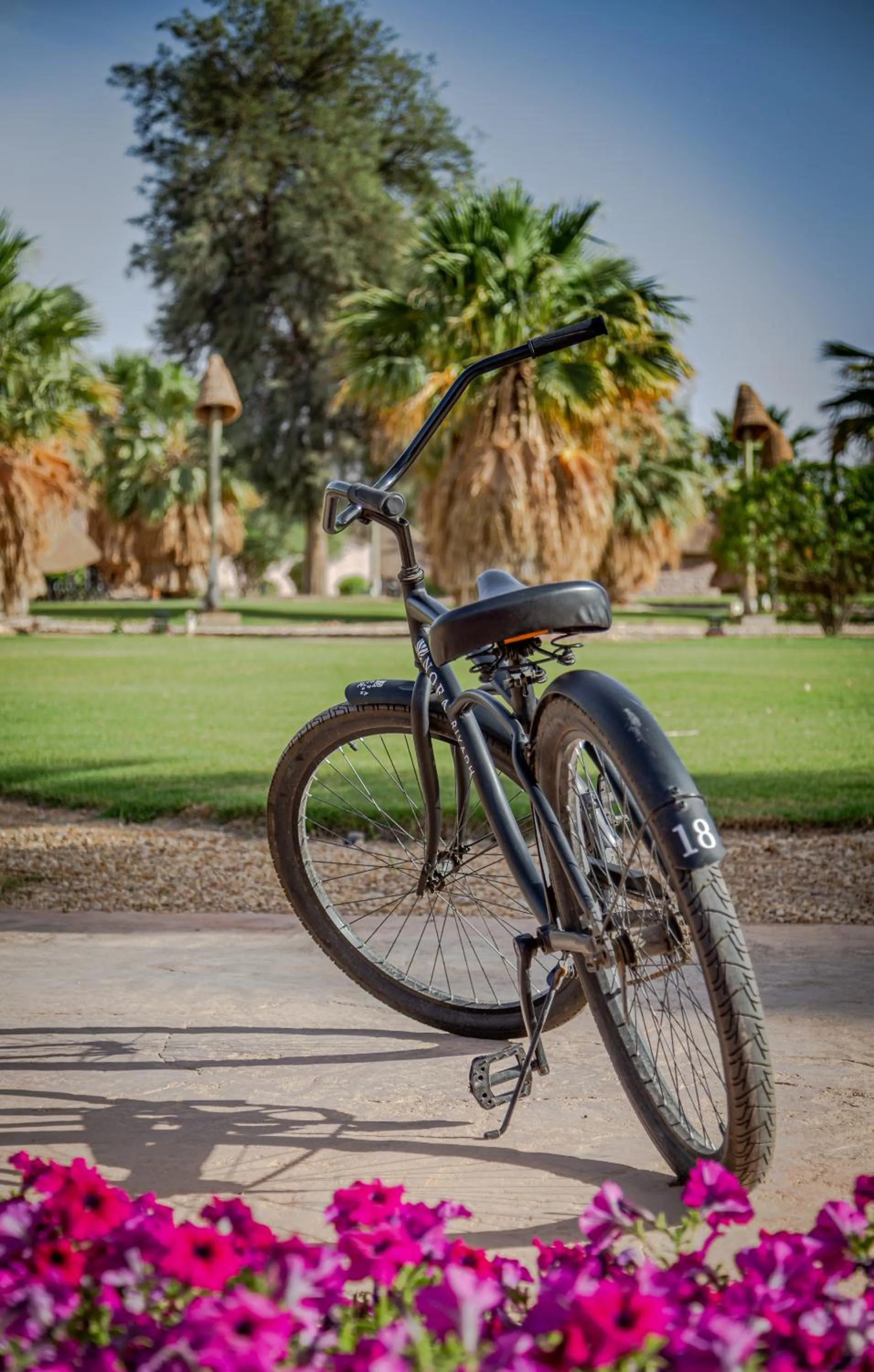 Cycling in Nofa Riyadh, A Radisson Collection Resort
