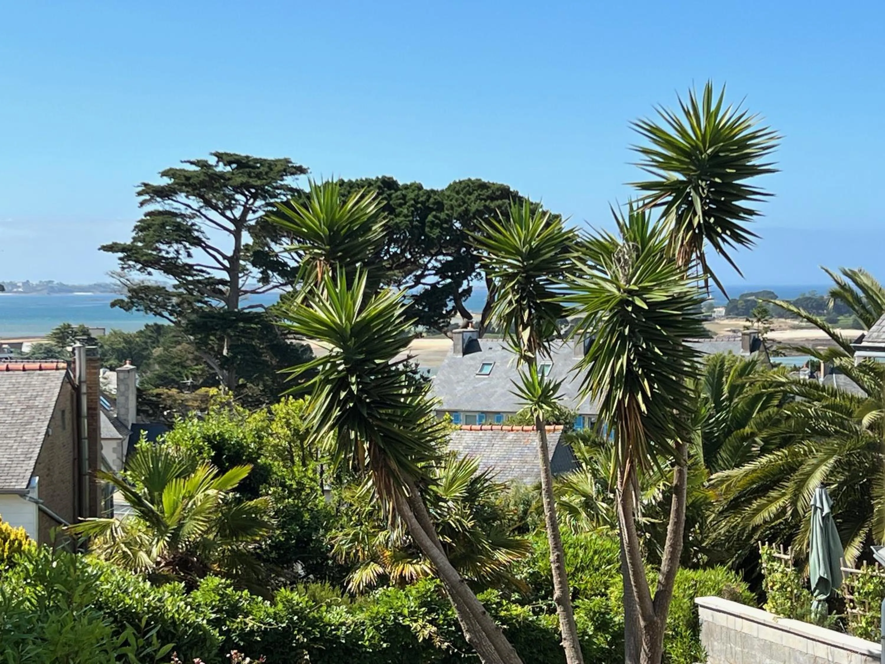 Appartement vue mer