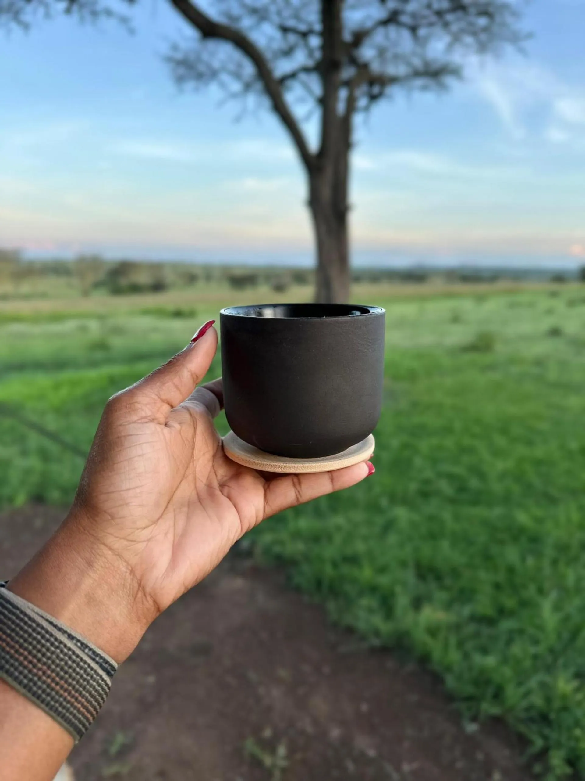 Day in Anantya Serengeti