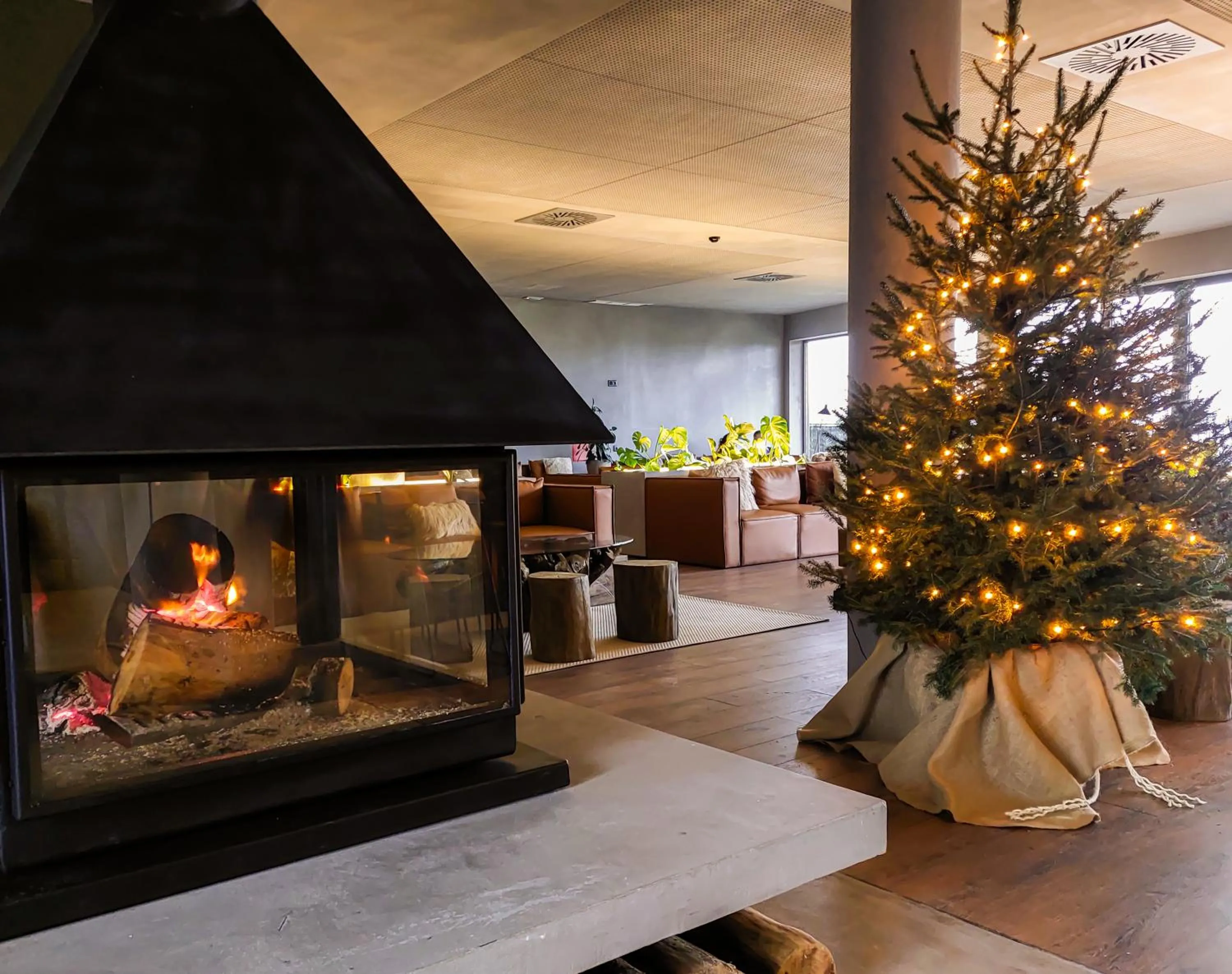 Lounge or bar in Puro Dão Hotel & Spa