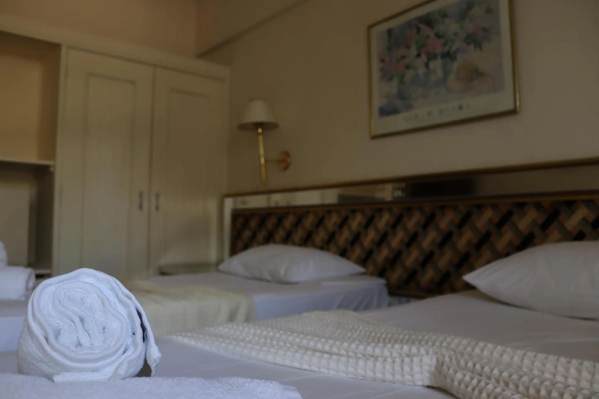 Economy Twin Room in Hotel Theoxenia