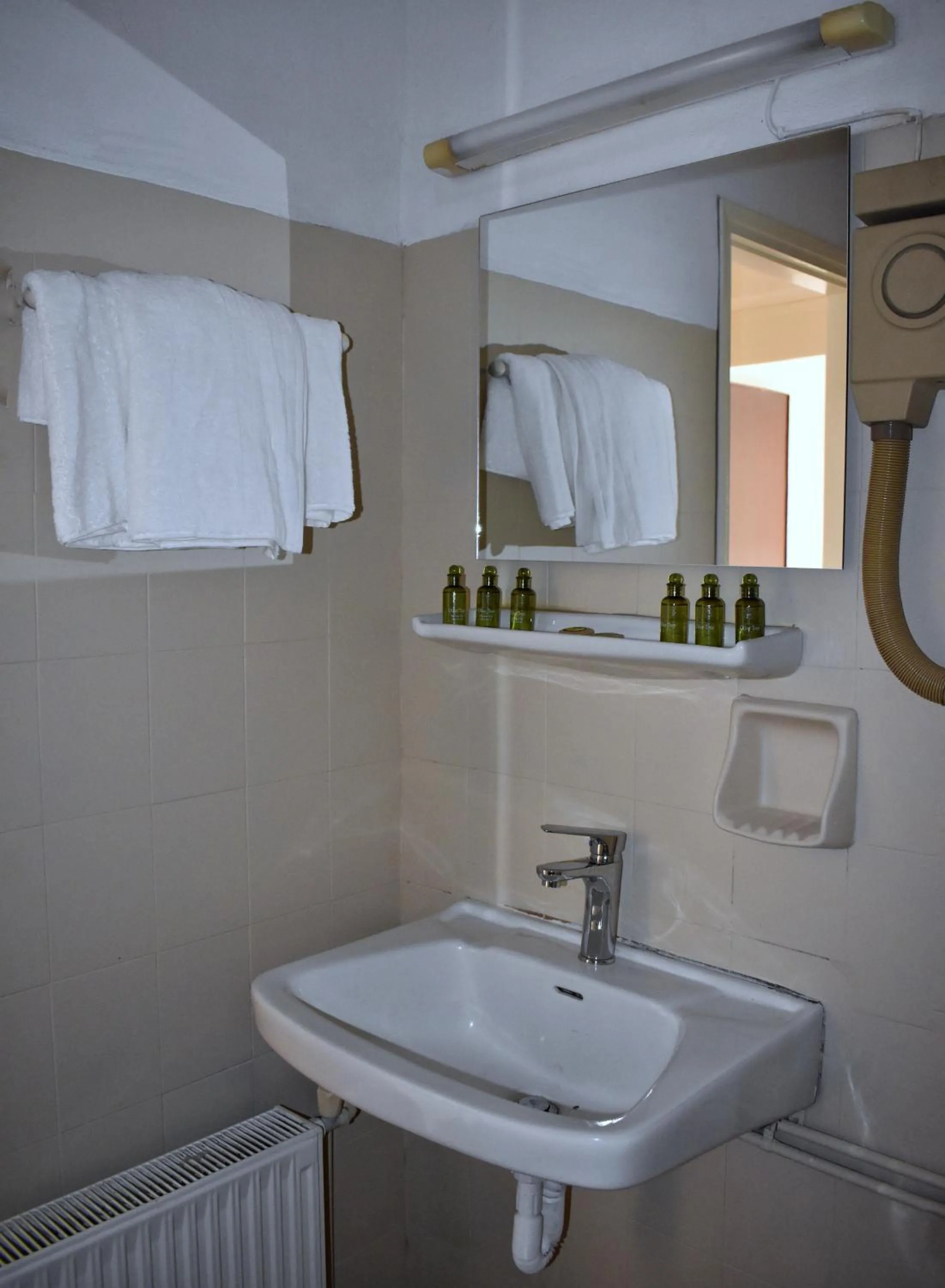 Bathroom in Hotel Theoxenia