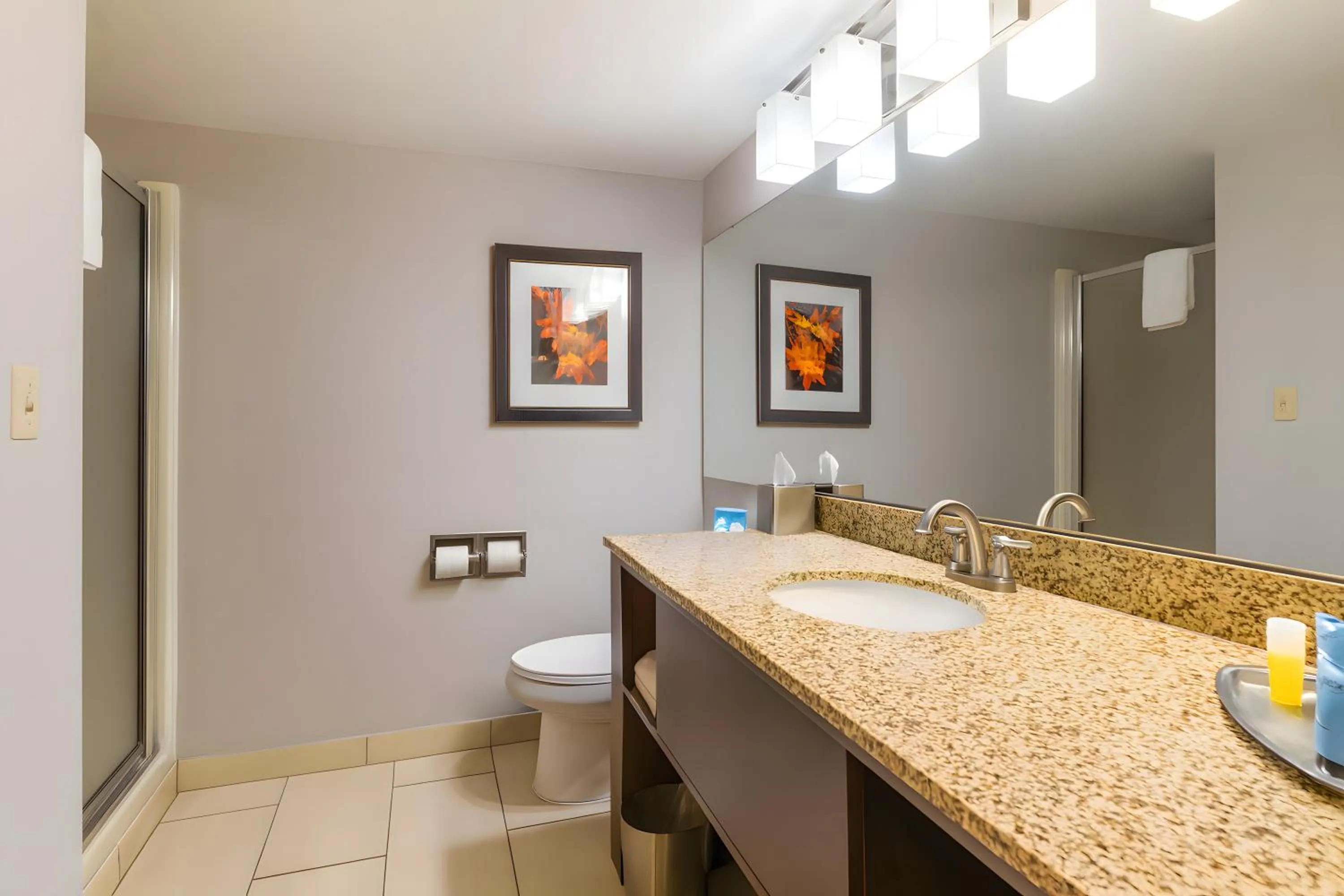 Branson Hillside Hotel