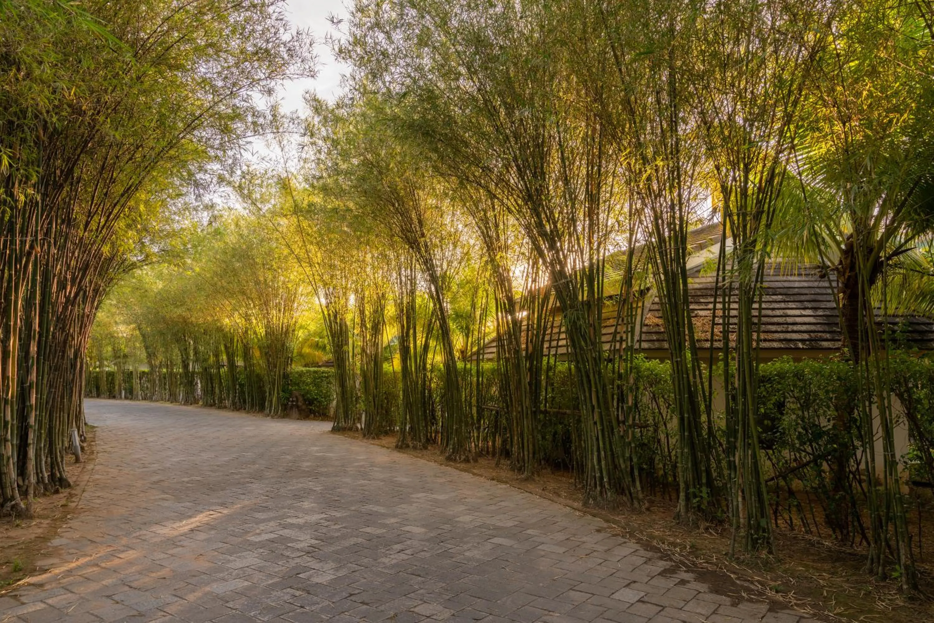 Natural landscape in The Shells Resort & Spa Phu Quoc