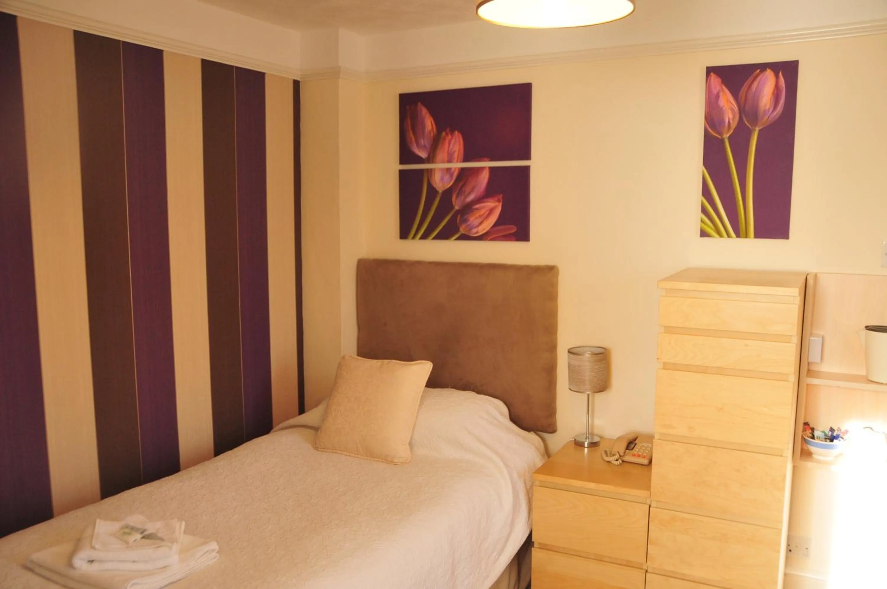 Single Room in Edward Hotel