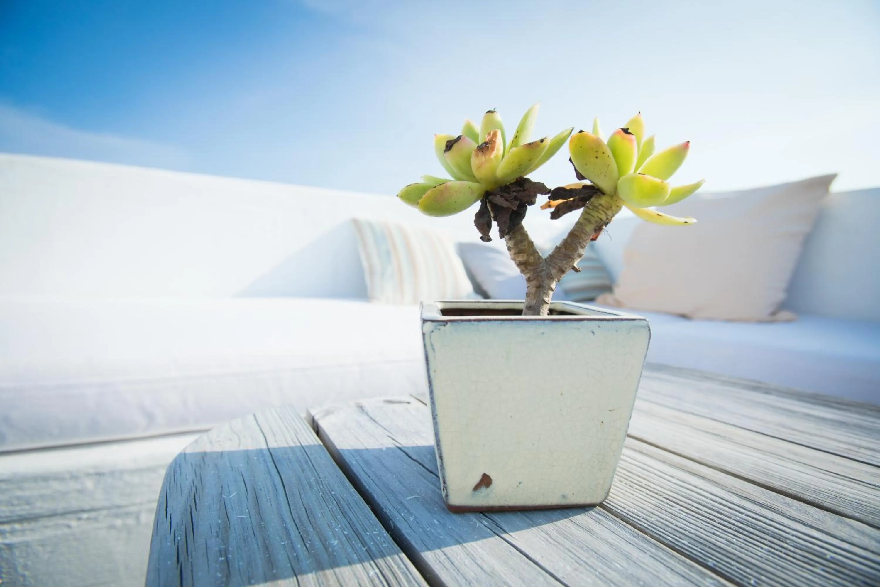 Patio in Kenting South Border DeSign Hotel