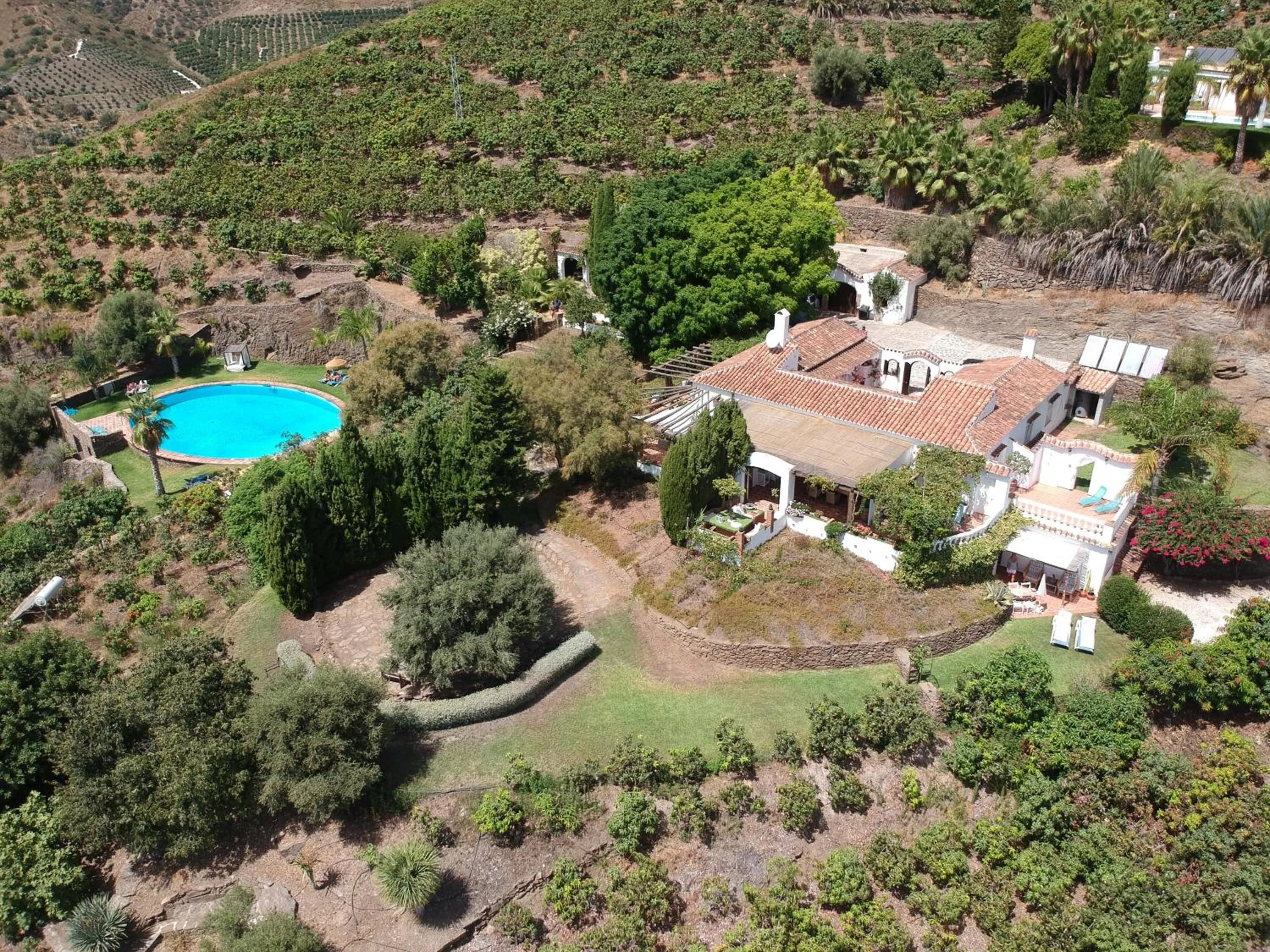 Garden in La Casa del Burro