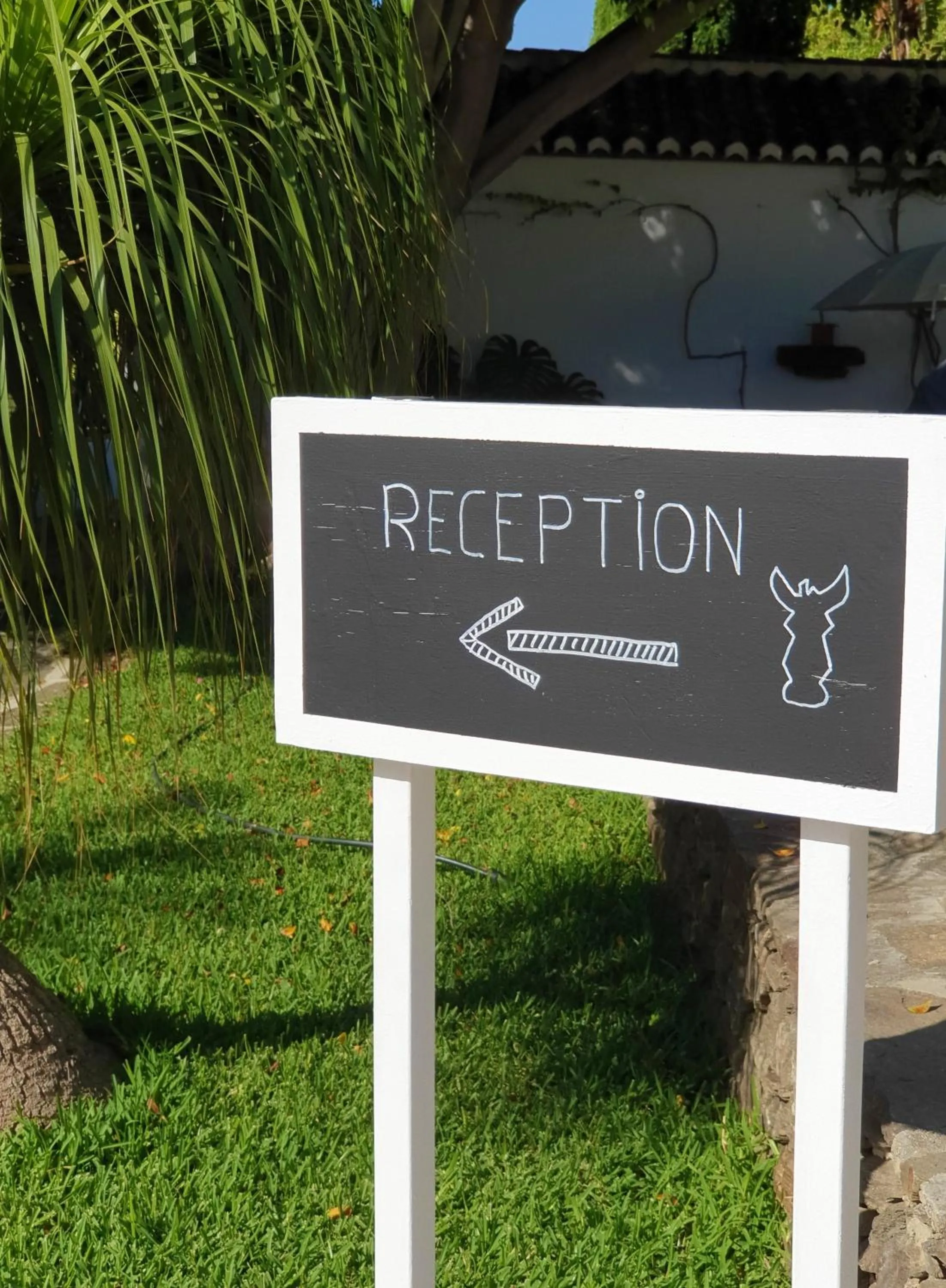 Other in La Casa del Burro