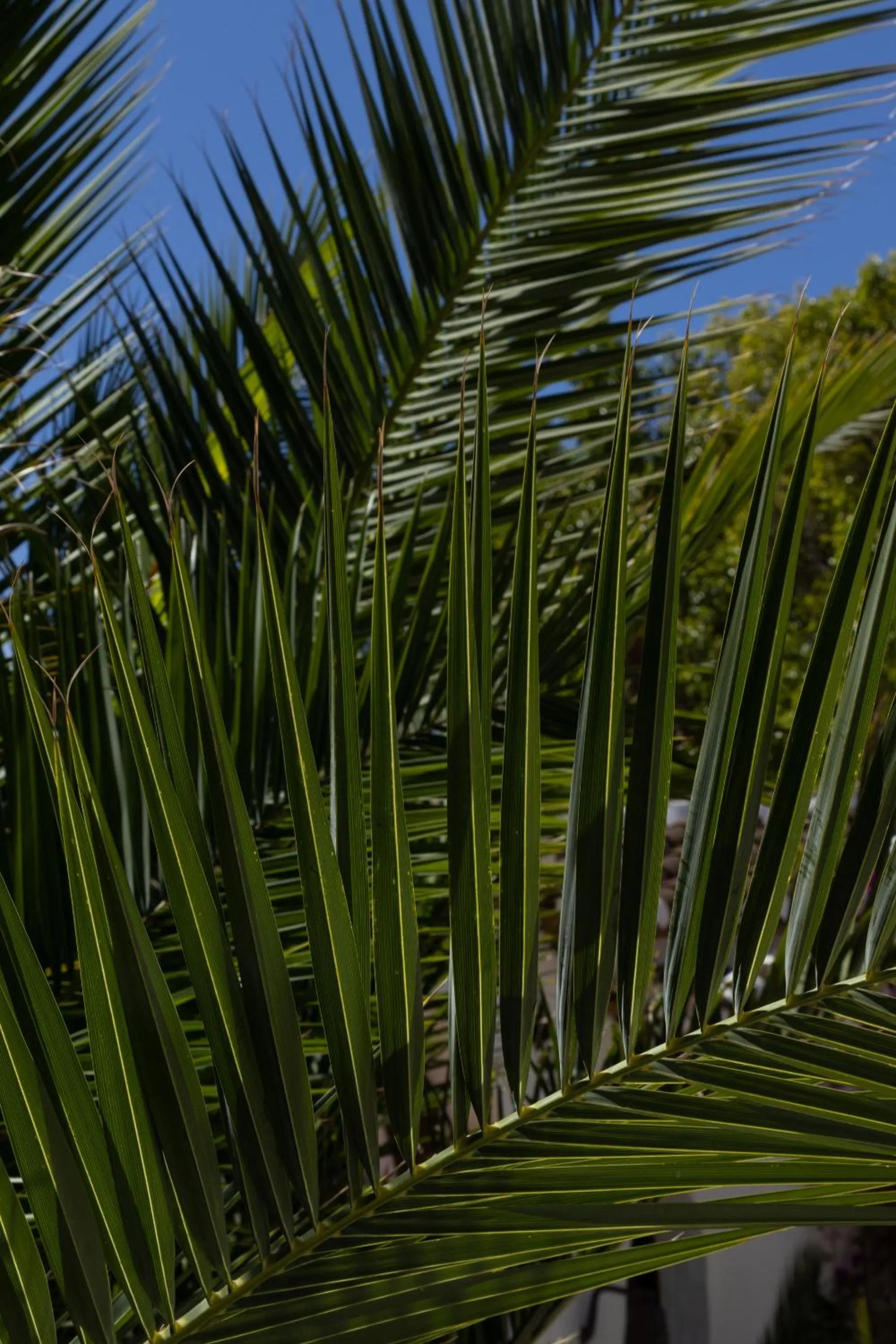 Natural landscape in La Casa del Burro