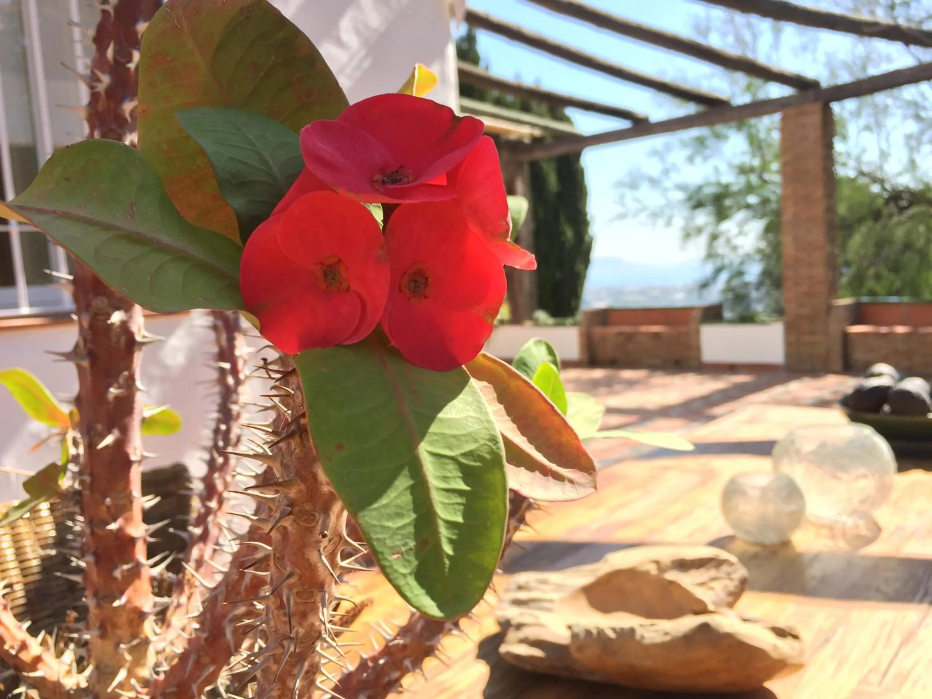 Property building in La Casa del Burro