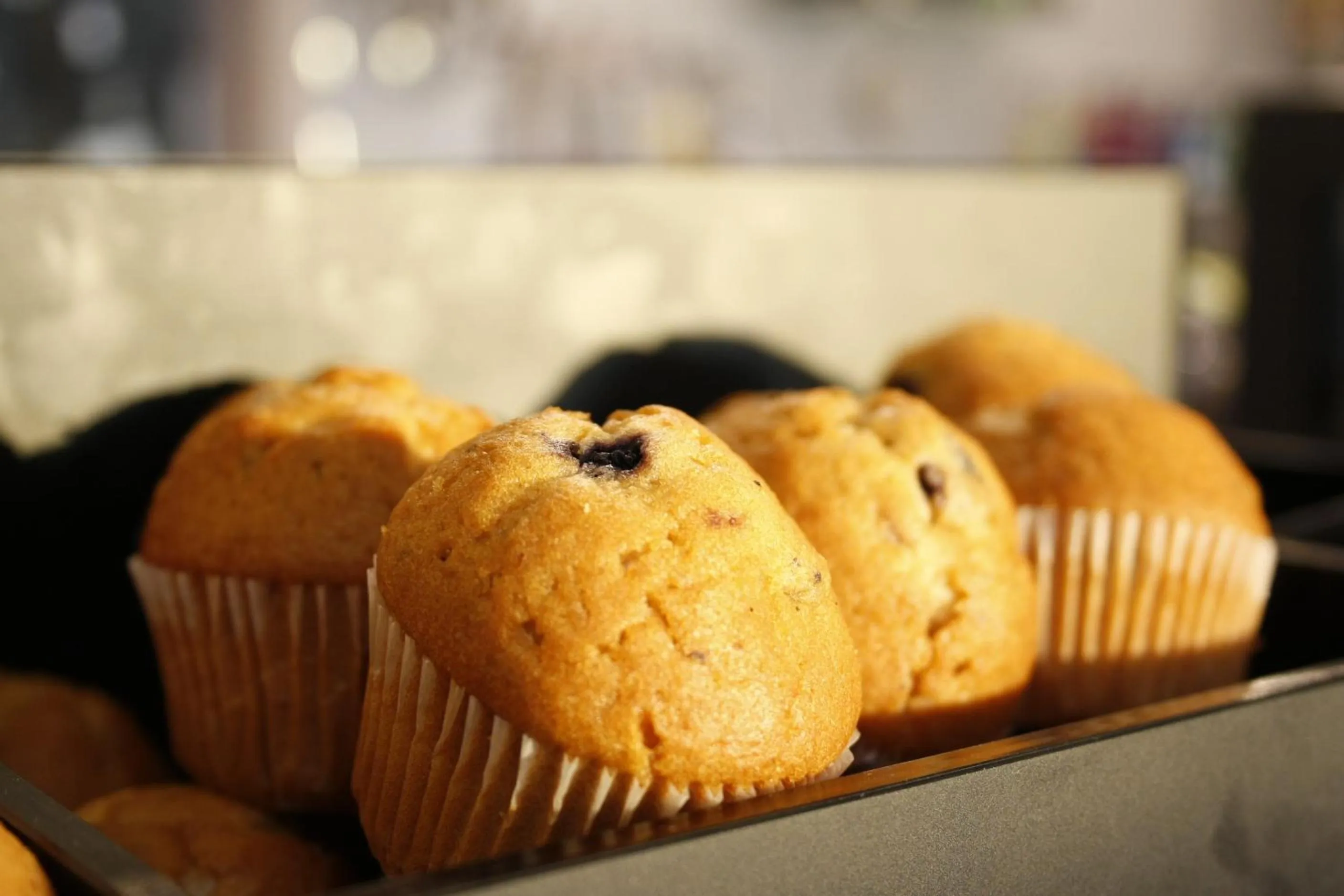 Breakfast in International Hotel Telford