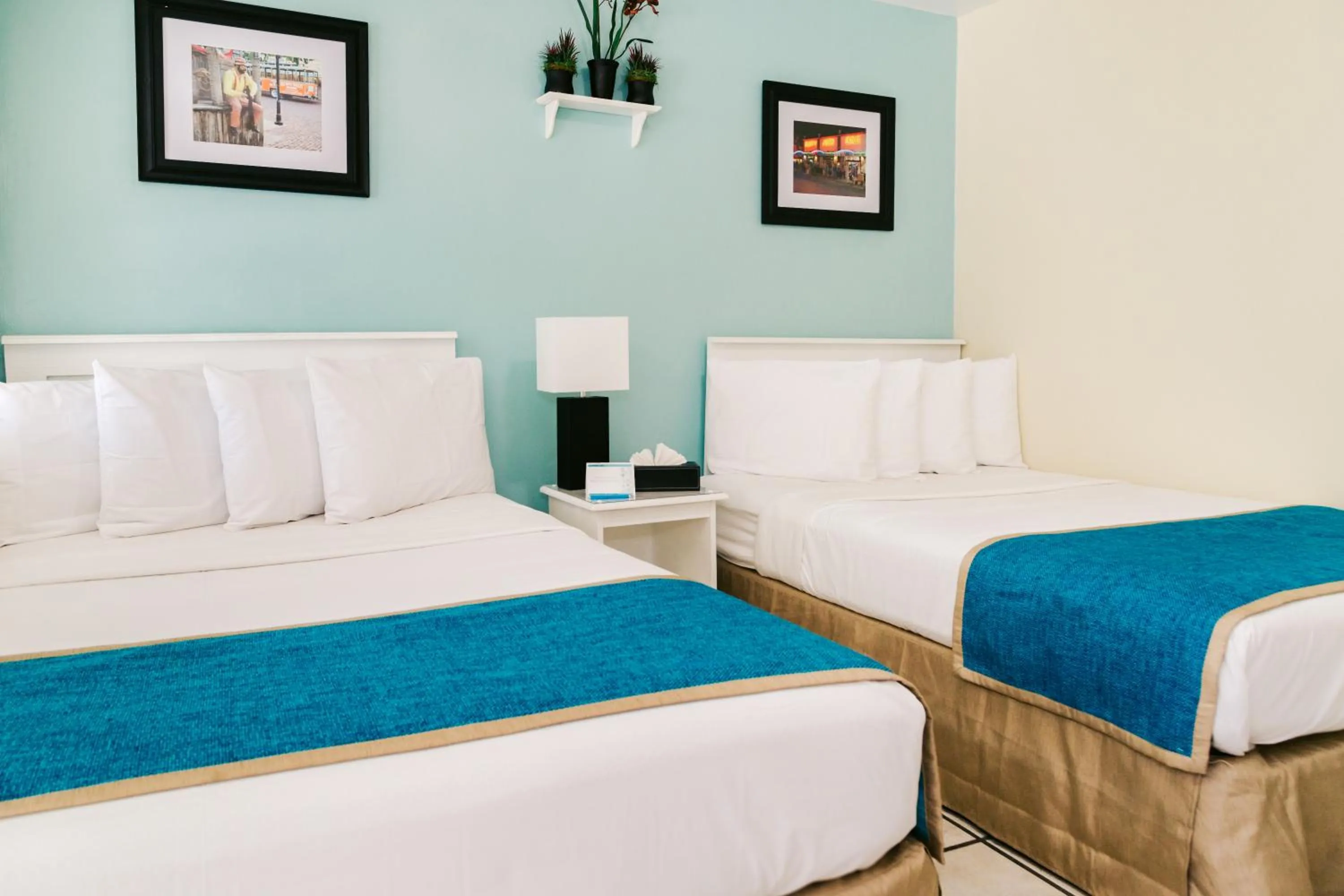 Bed in Seashell Motel and International Hostel