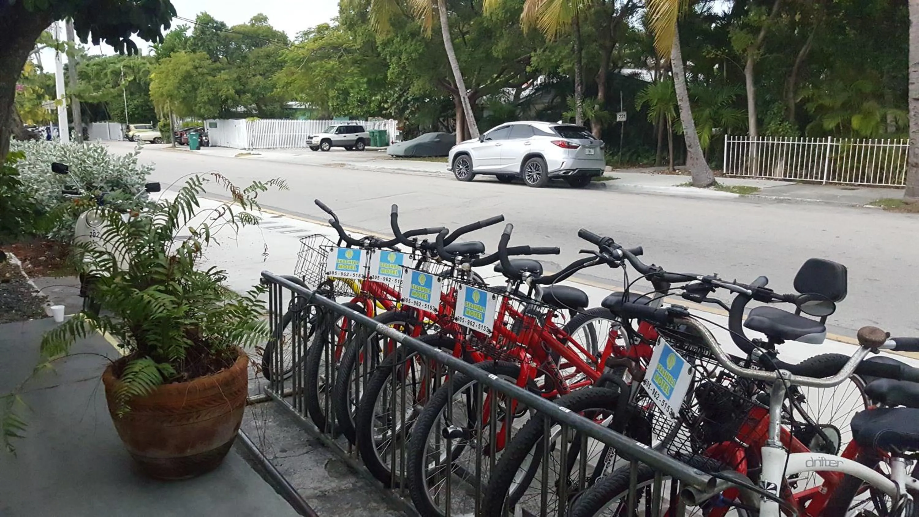 Day in Seashell Motel and International Hostel