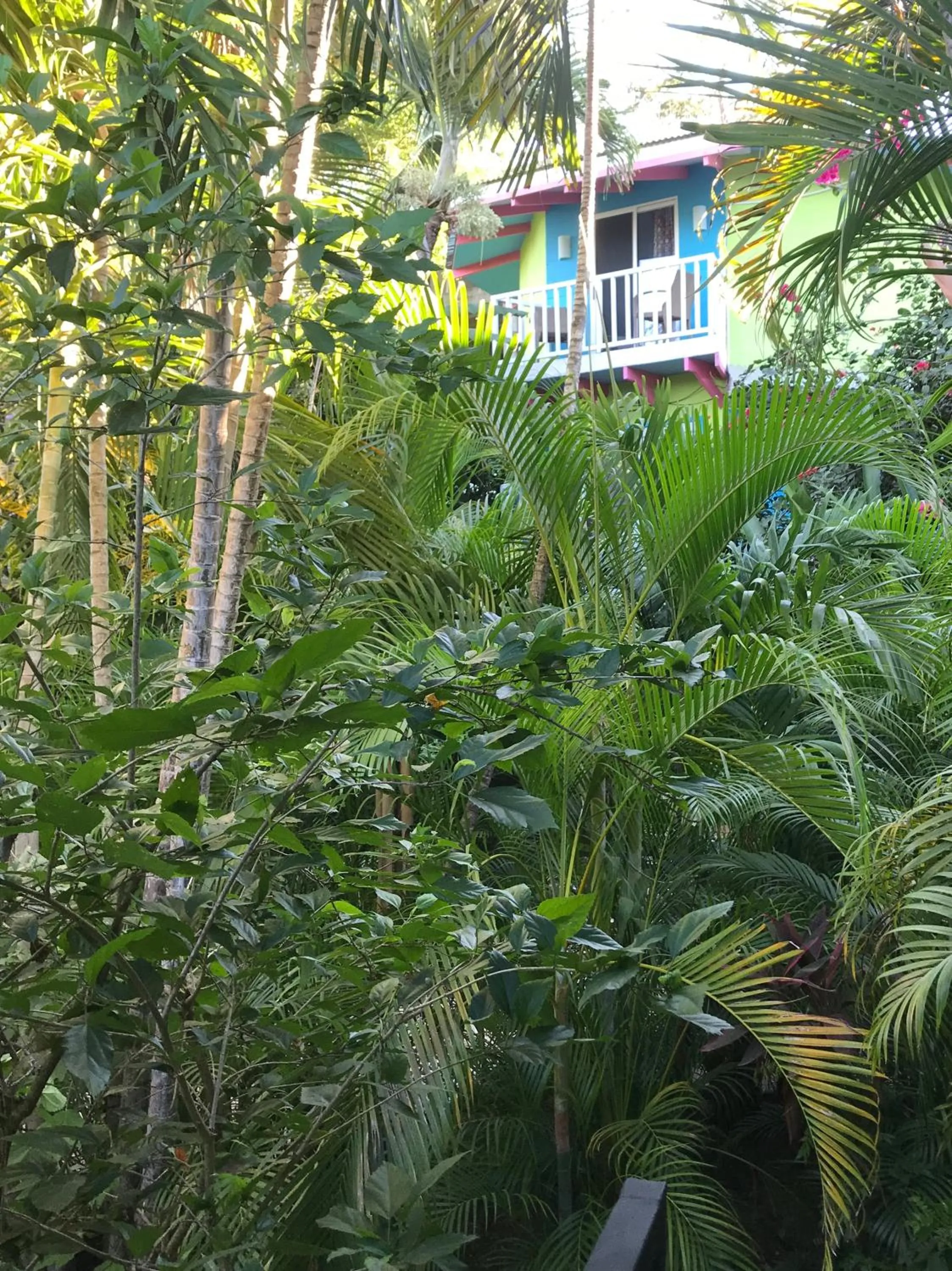 Tamarindo Village Hotel